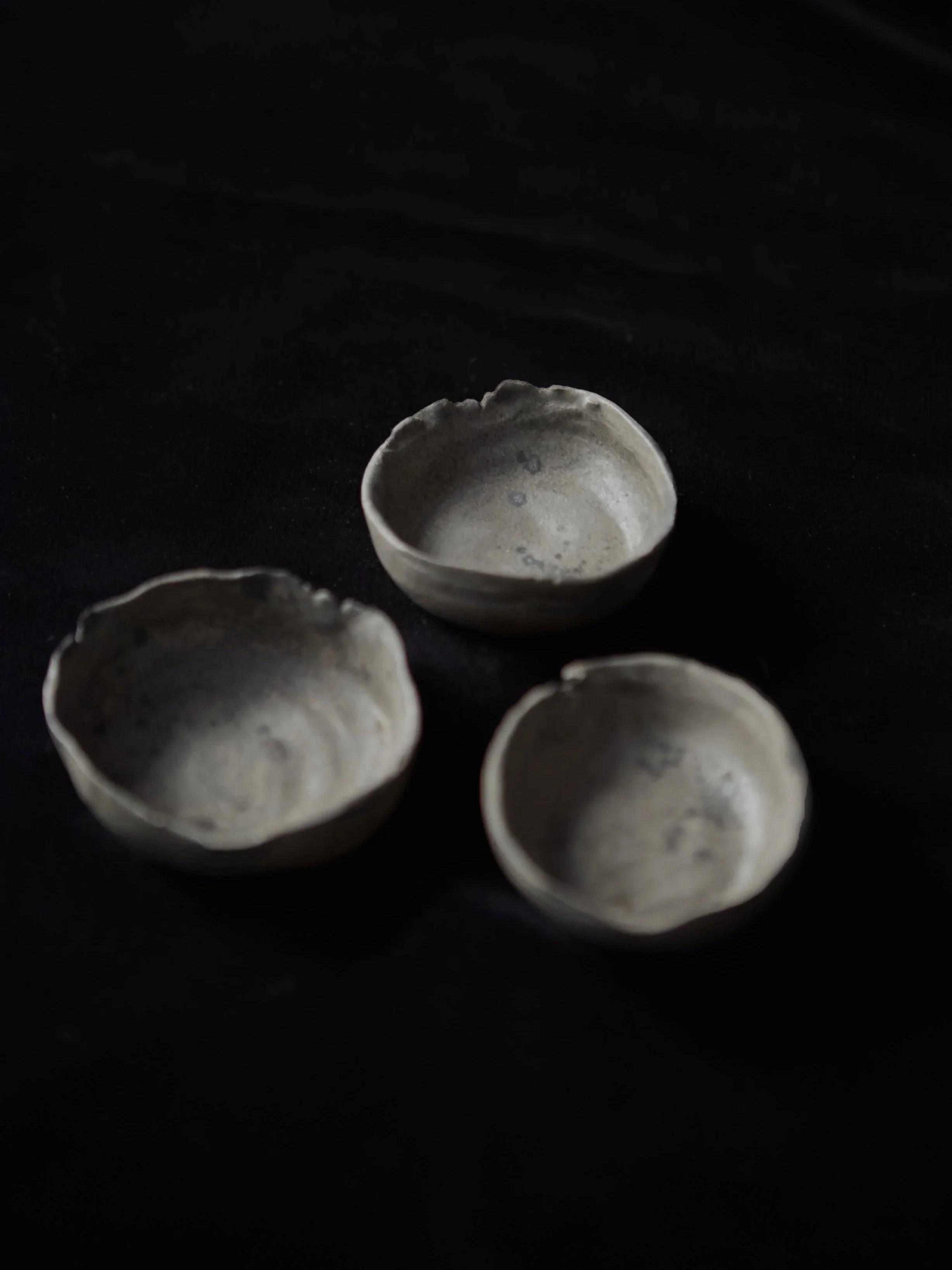 Mud-Bunny-Ceramic-Fossil_Bowls-2.jpg