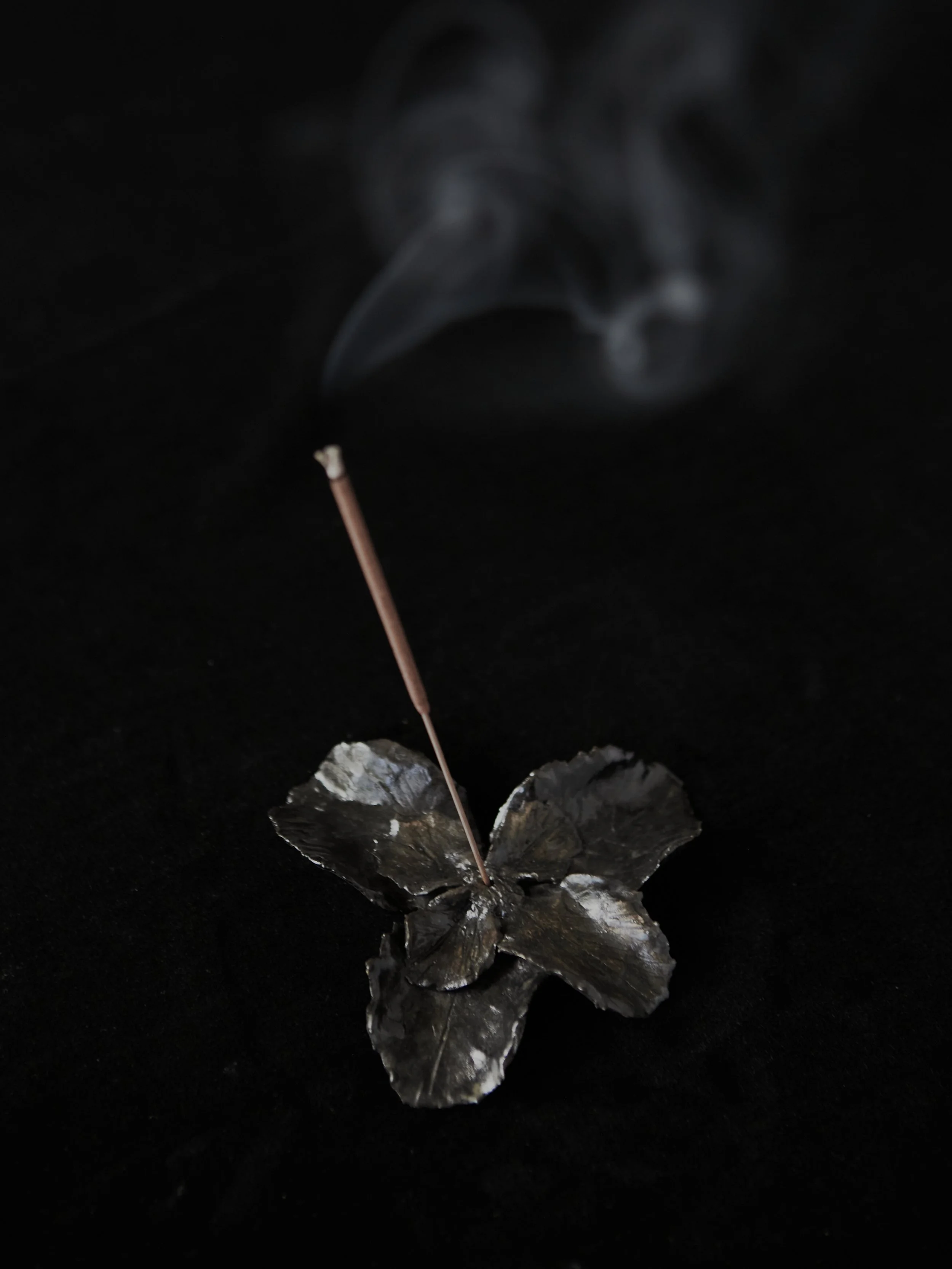 Mud-Bunny-Ceramic- 137_258.jpg