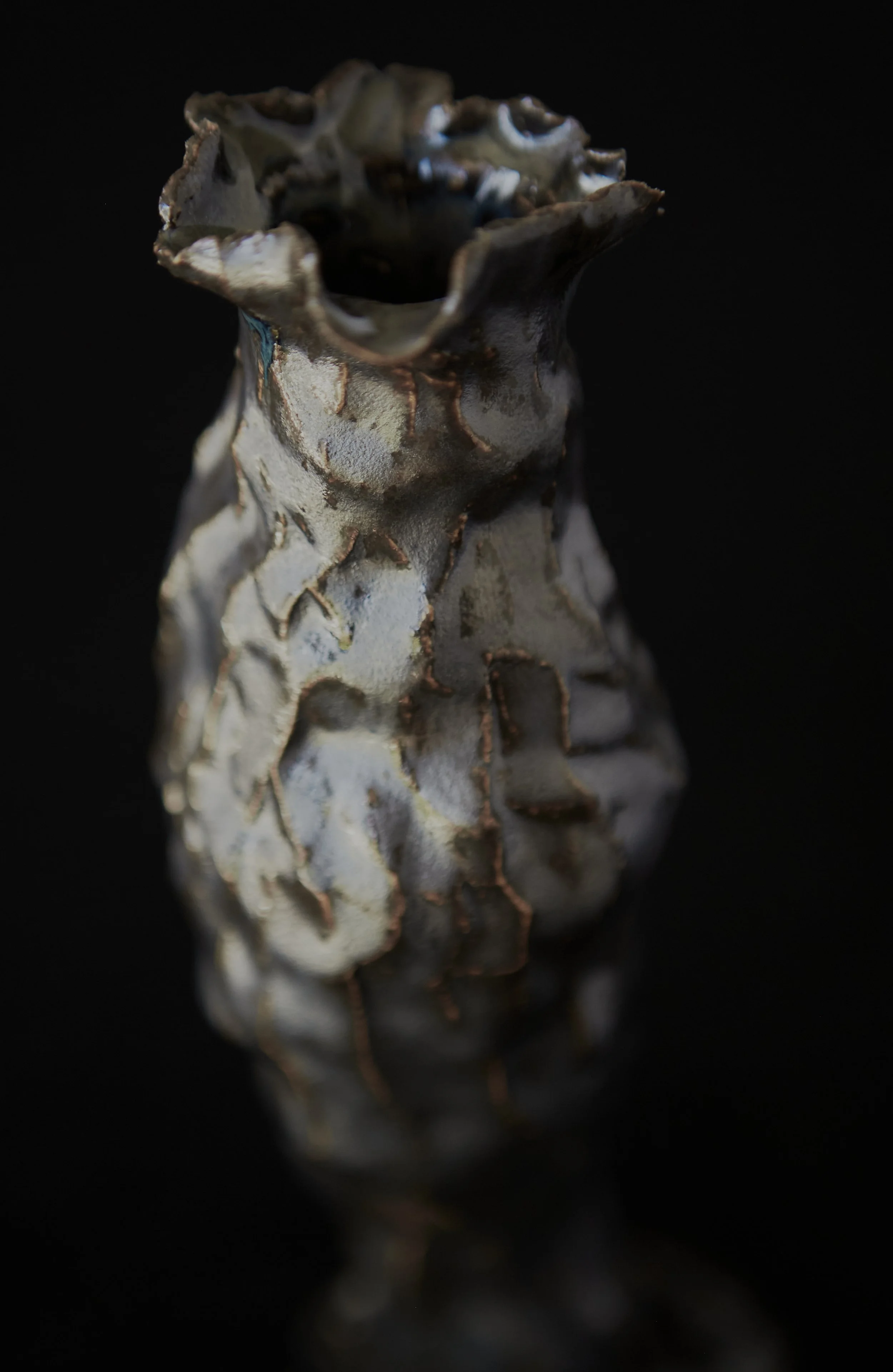 Mud-Bunny-Ceramic- 75_196.jpg