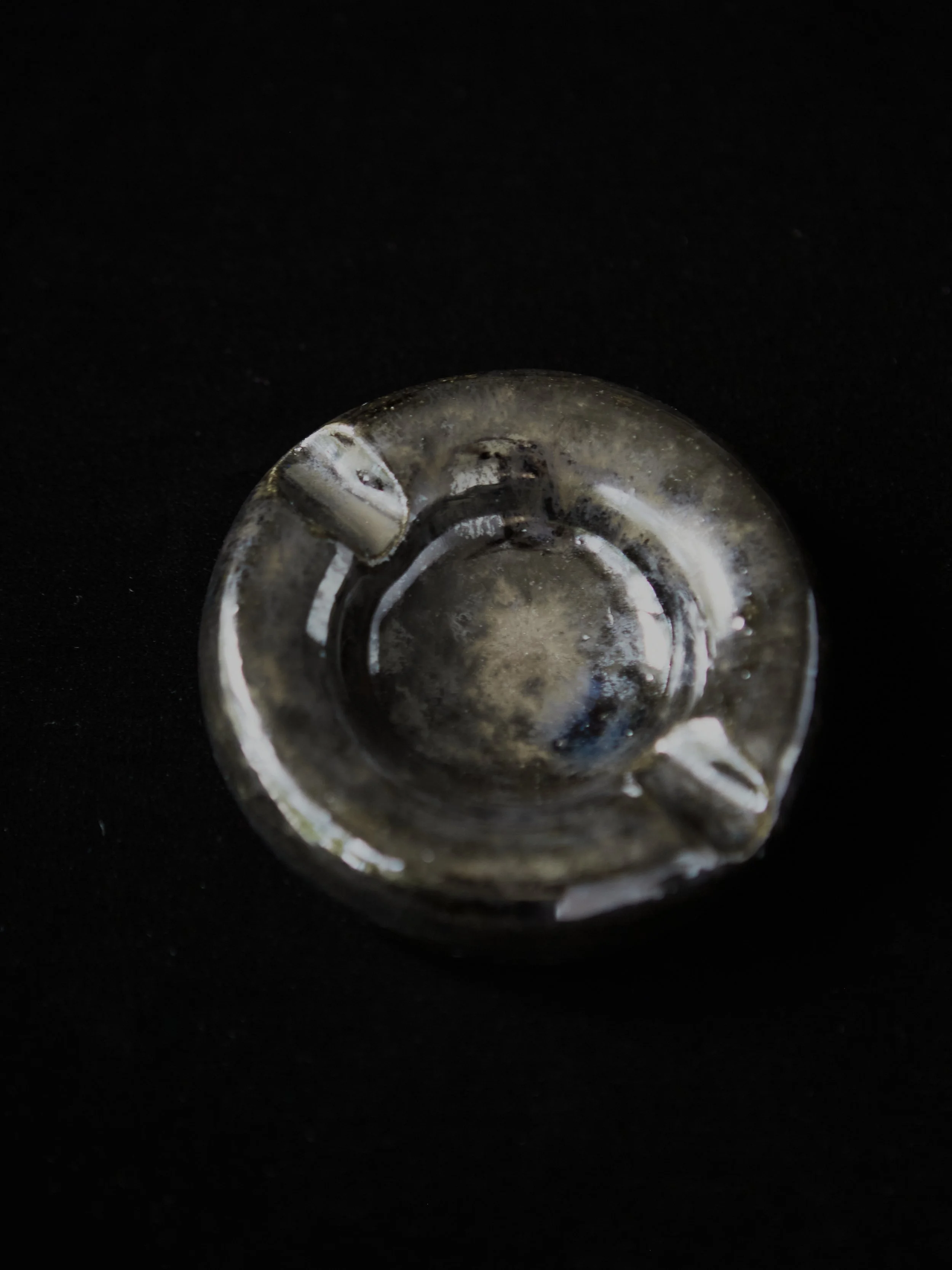 Mud-Bunny-Ceramic- 151_272.jpg