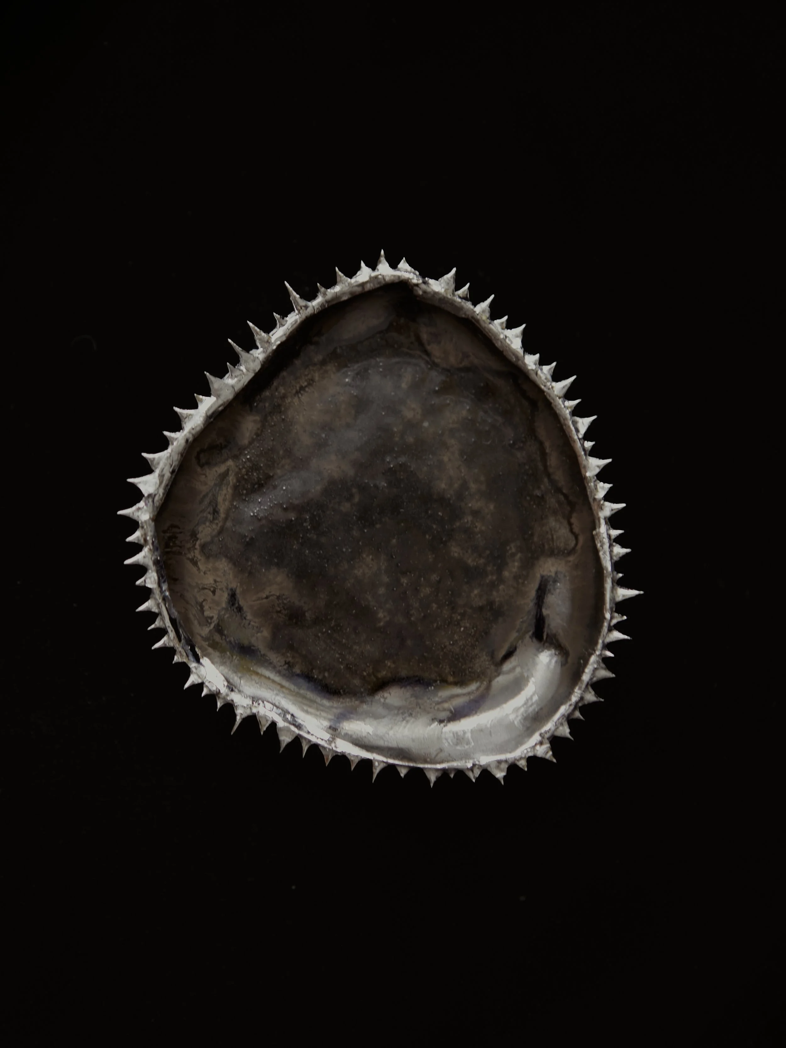 Vicious Trinket Tray