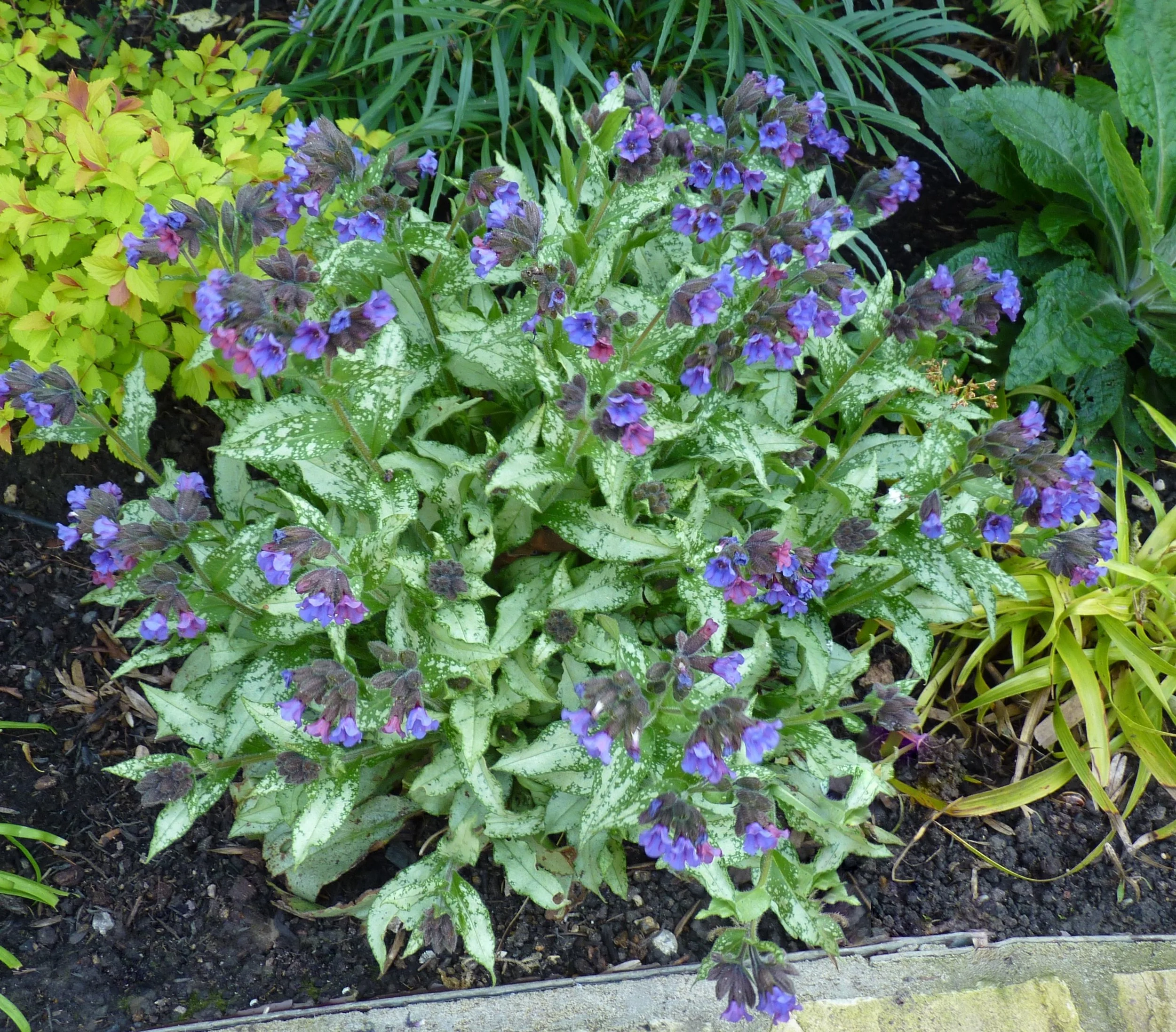 I’ll Only be a Minute!