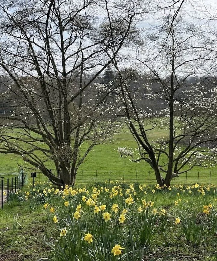 One Planet, One Garden 