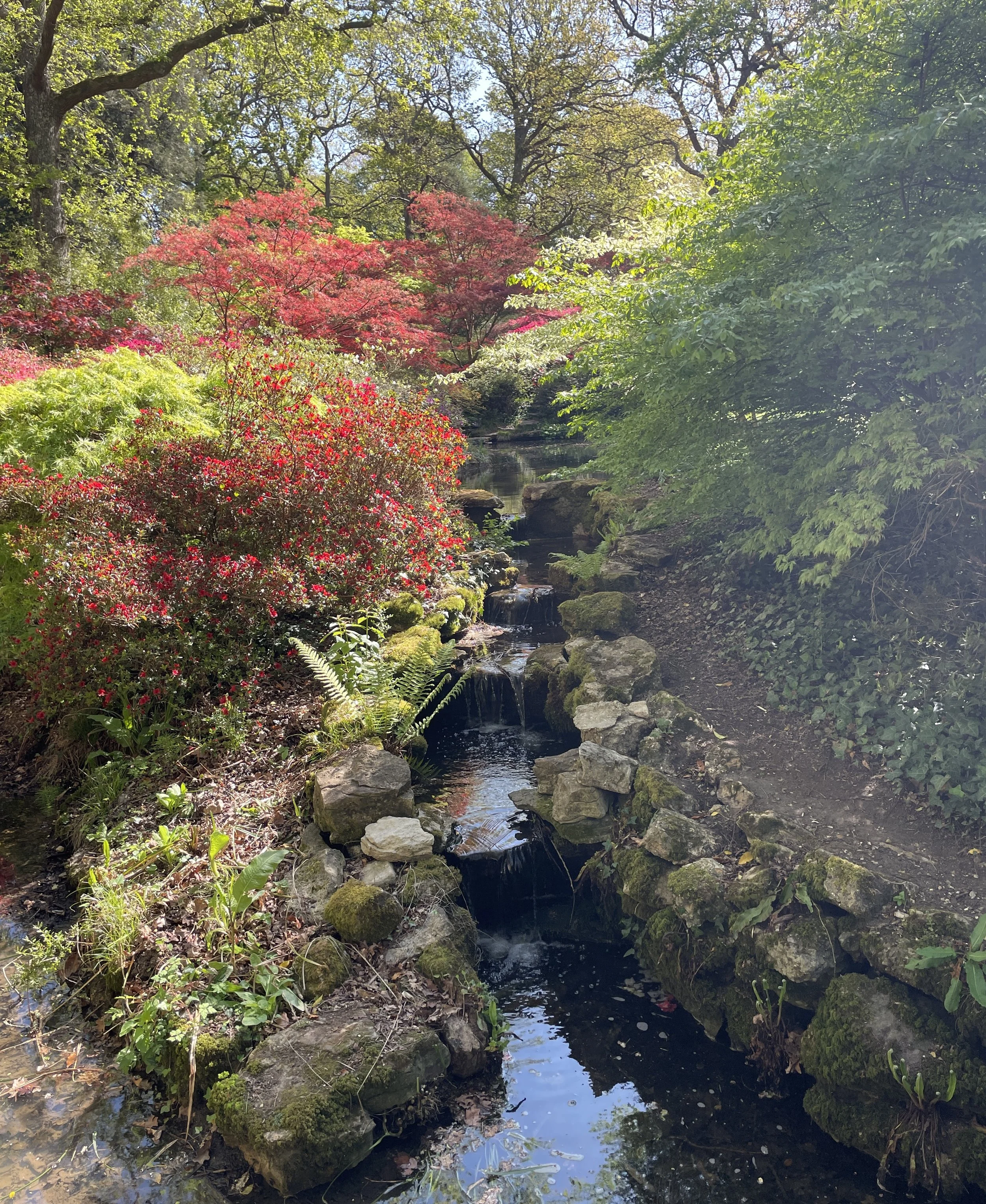 A Serene Escape