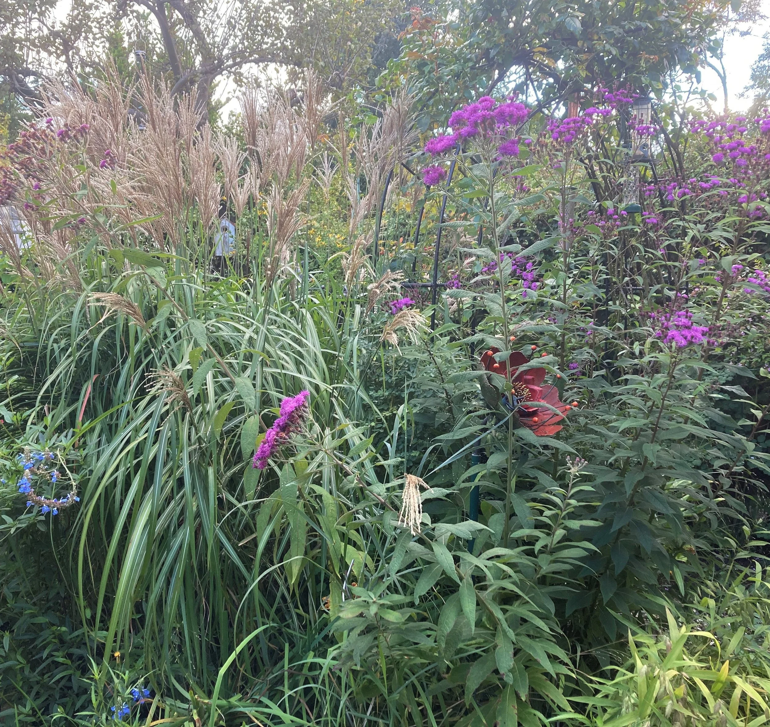 Plants With Attitude