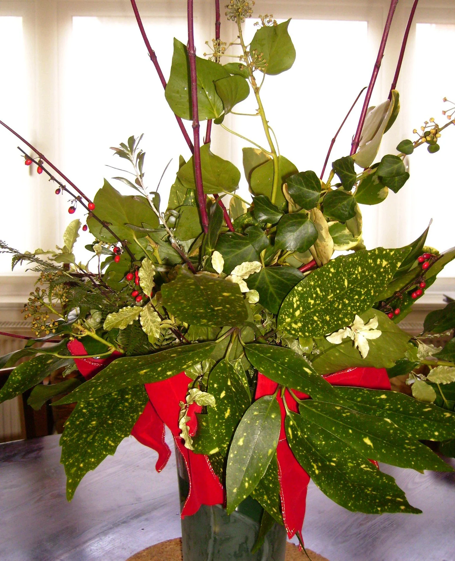 Season's Greetings! Foliage from my garden including cornus, ivy and spotted laurel. 25 Dec 2025
