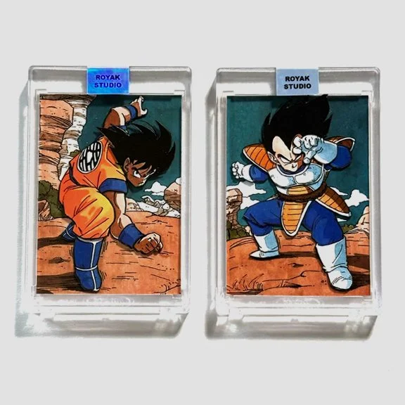 Goku Vegeta front.jpg