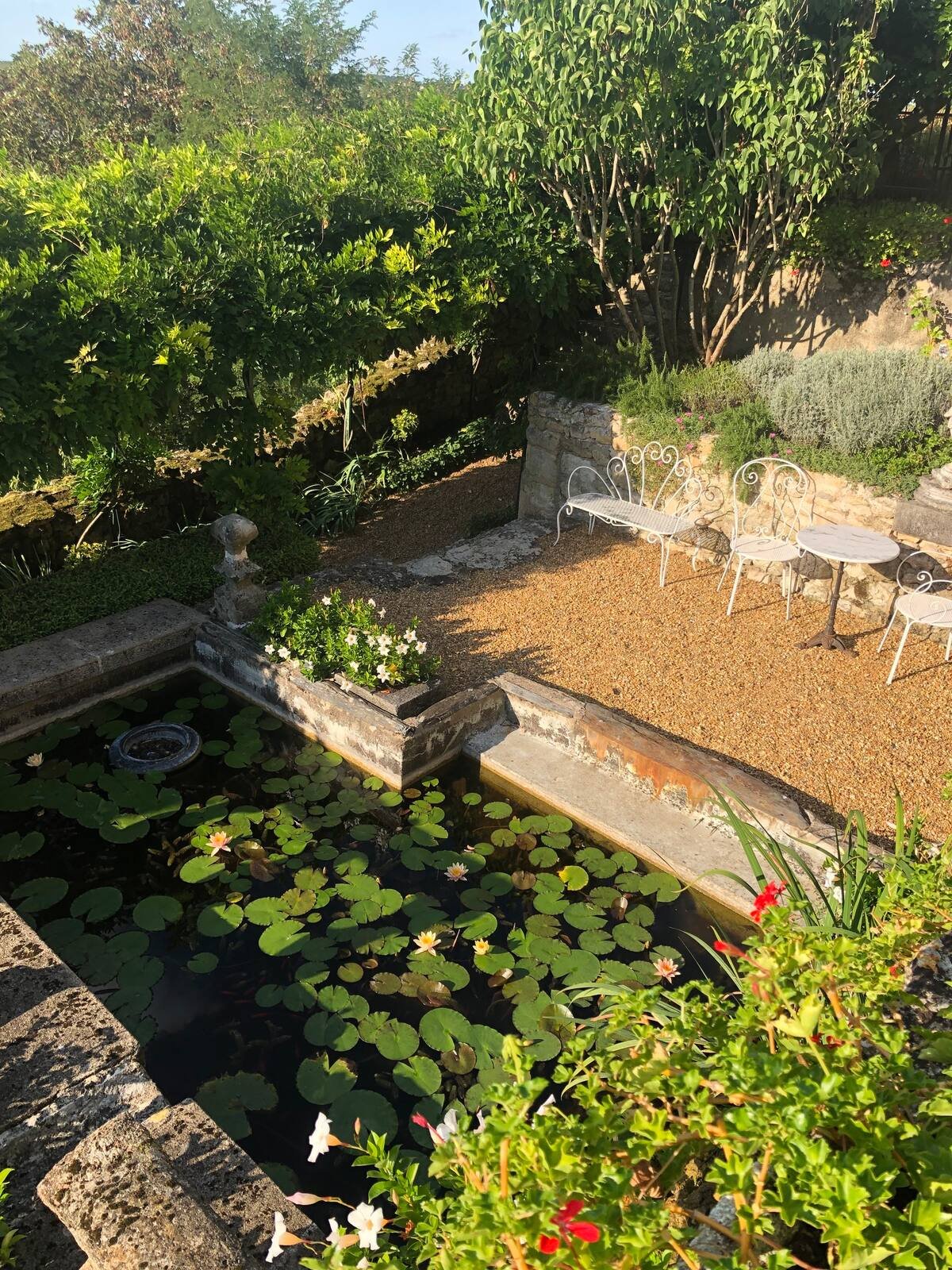 La Maison Dovalle - La Tourelle - Exterior Lily Pond