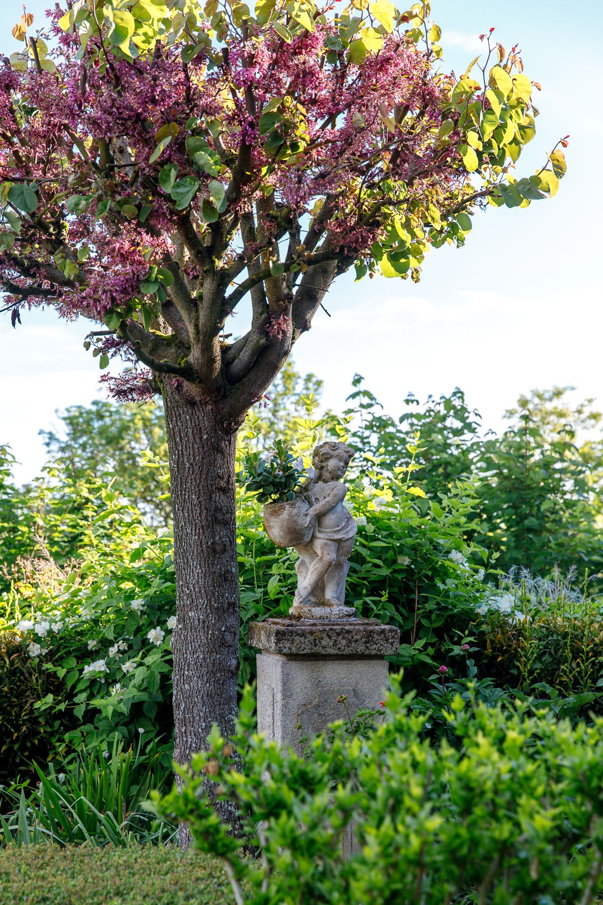La Jardin: La Maison Dovelle