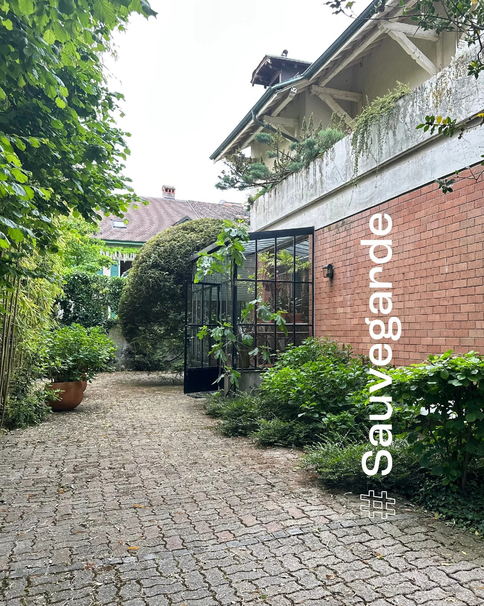 D&eacute;couvrez nos projets 3/3 🏗️👷🏻&zwj;♀️

Sauvegarde de patrimoine arbor&eacute;
Maison et parc priv&eacute;
Recens&eacute; par le Service du paysage et des for&ecirc;ts - GE

Un projet ou une question ? 
Contactez nous par mail &agrave; conta