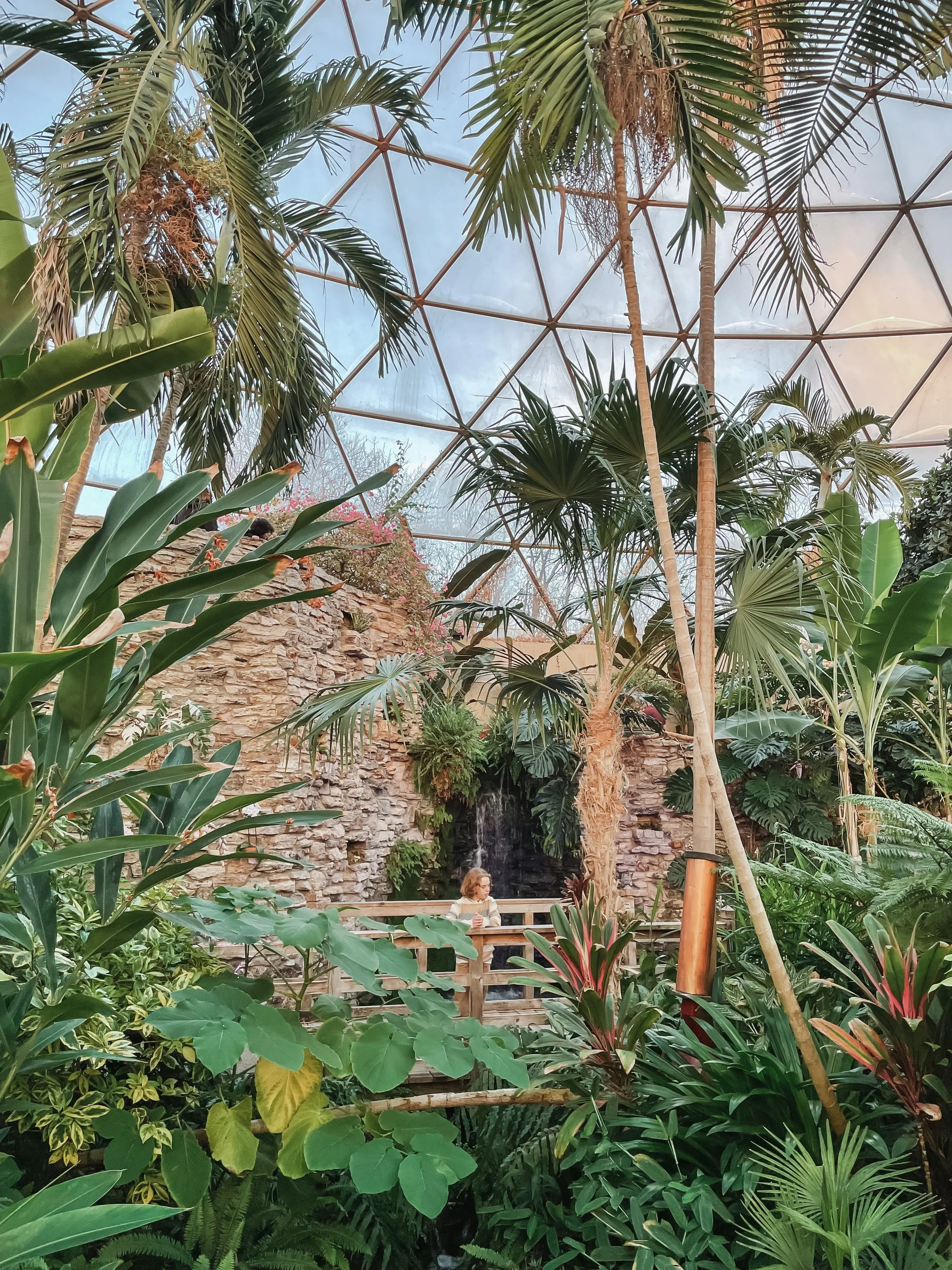 Des Moines Botanical Garden dome with trees 