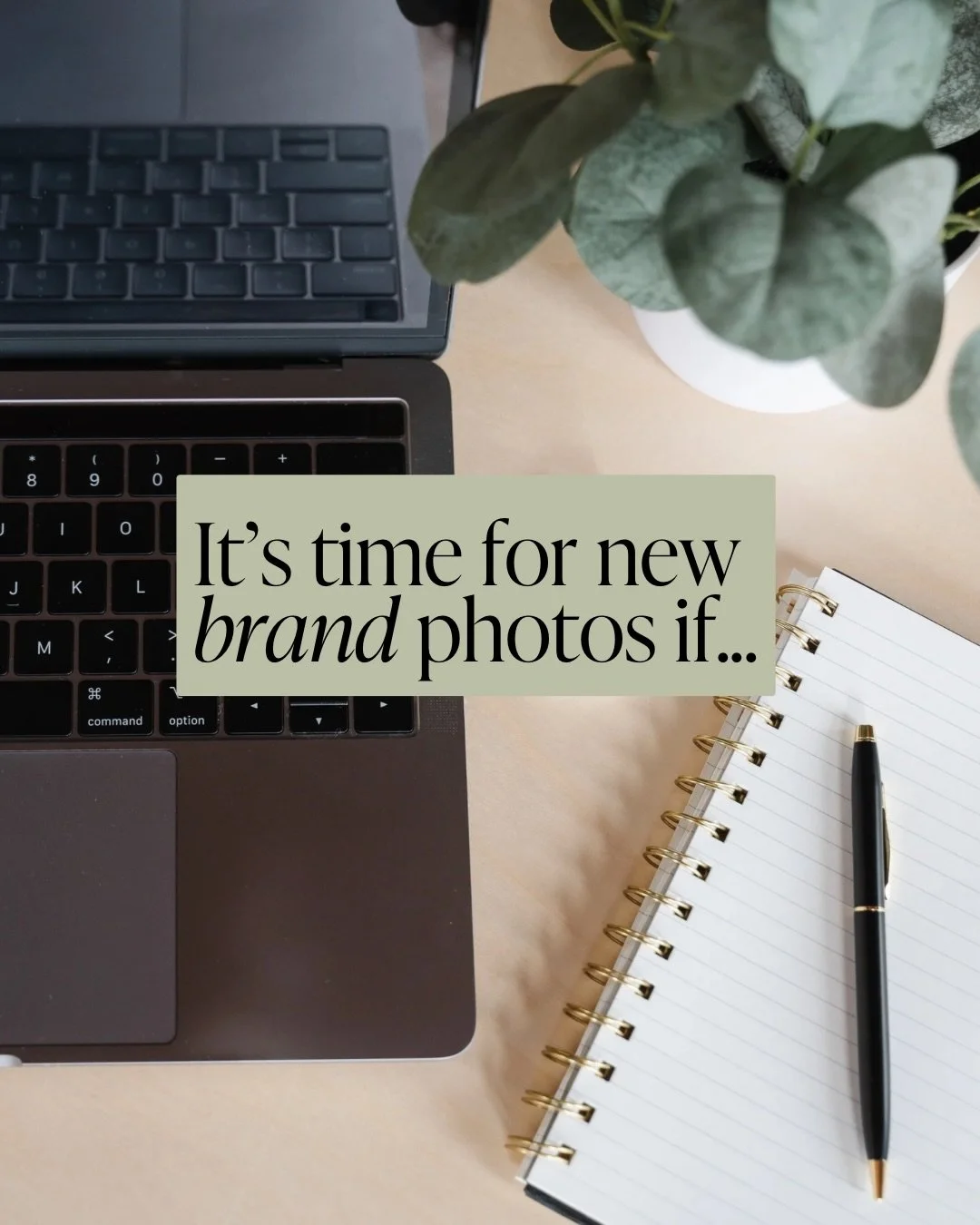Signs it&rsquo;s time for new brand photos (aka why your marketing suddenly feels harder than it should&hellip;)

Change is inevitable.

You change.
Your services evolve.
Your team grows.

Your brand photos should reflect that.

When they do, marketi