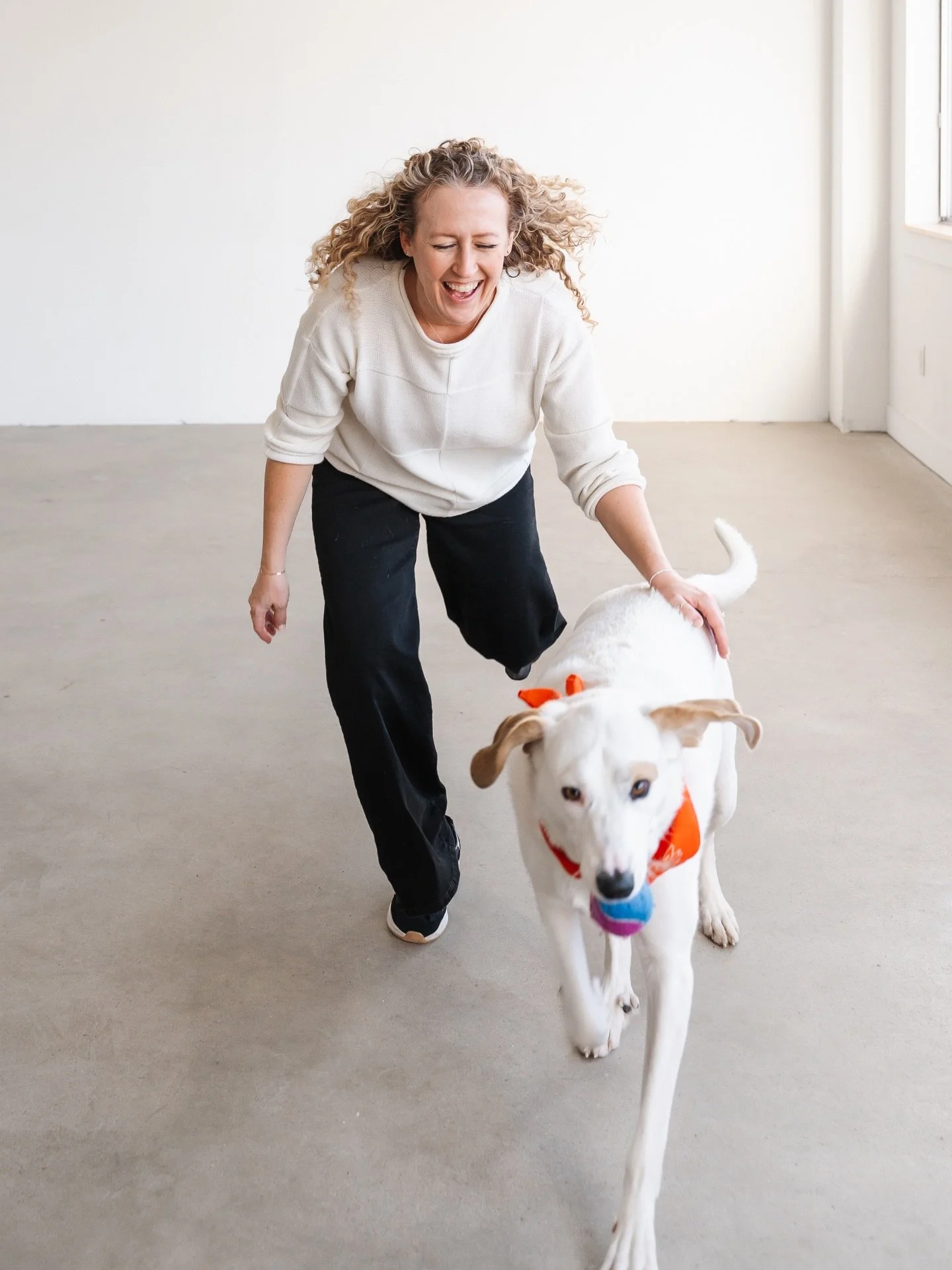 Four years ago today, on 2.22.22, I finally became a dog mom. 🐶

Happy Gotcha Day to our Lux Bear. She may not be the easiest dog to raise, but she sure is our favorite. 💛

I&rsquo;m loving this chapter of our lives. 

📸 by me, my husband, my came