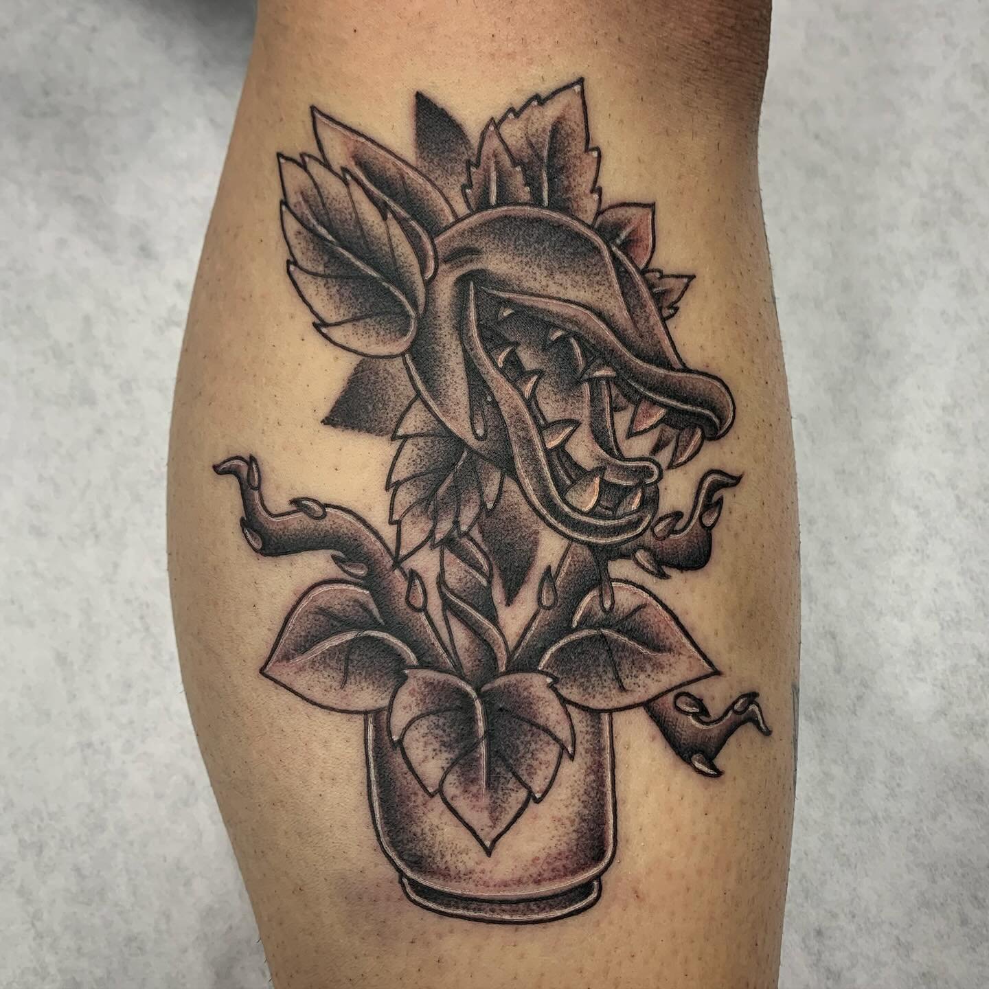 Audrey 2 tattoo I made for my lady today, had a super fun time on this!  #tattooer #spokanetattoo #tattoo #spokane #tattooshop #spokanetattooer #blackandgreytattoo #stippletattoo #washington #traditional
