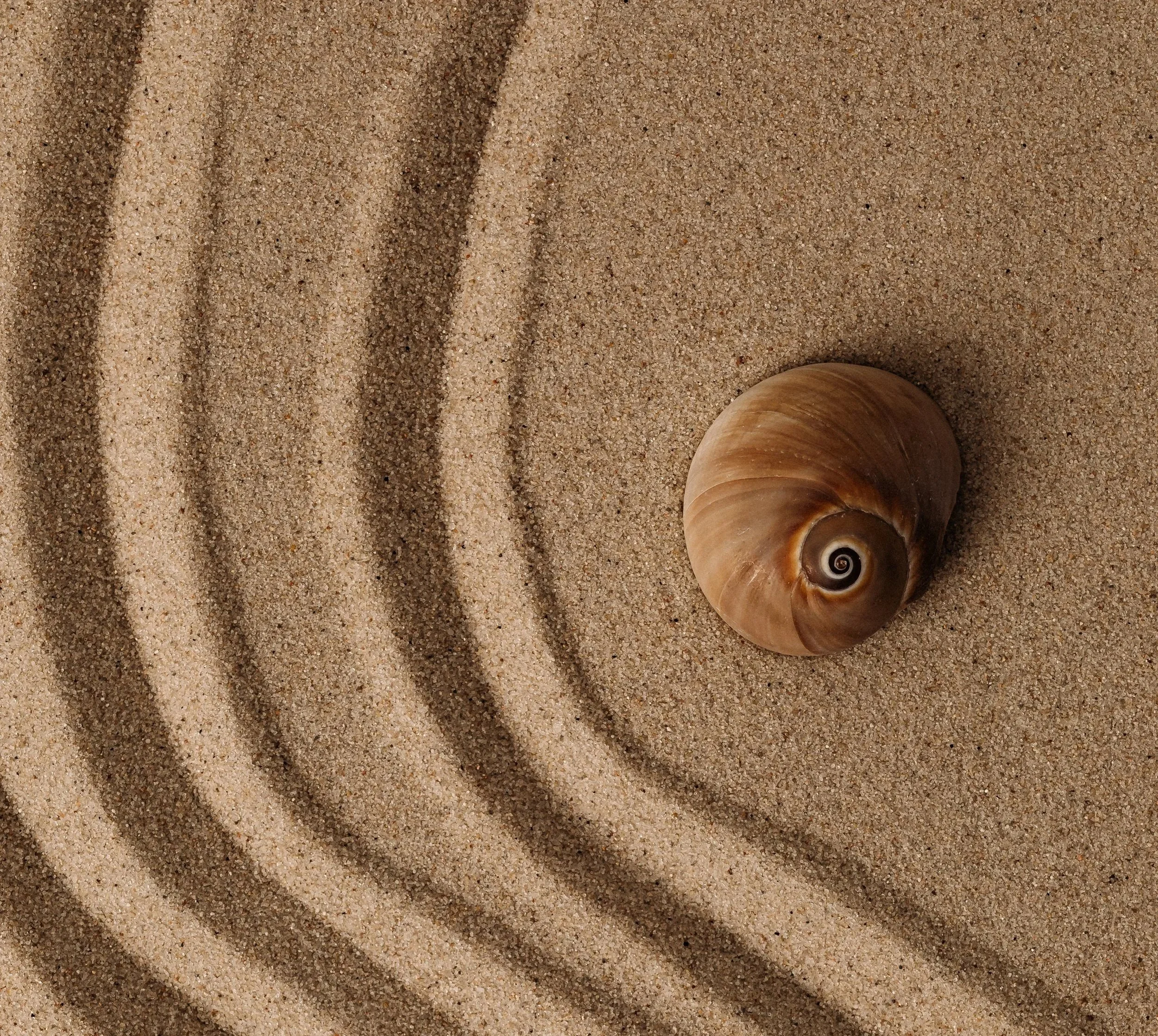 ALIGNED AESTHETIC: How Patterns in Daily Life Influence our Nervous ...