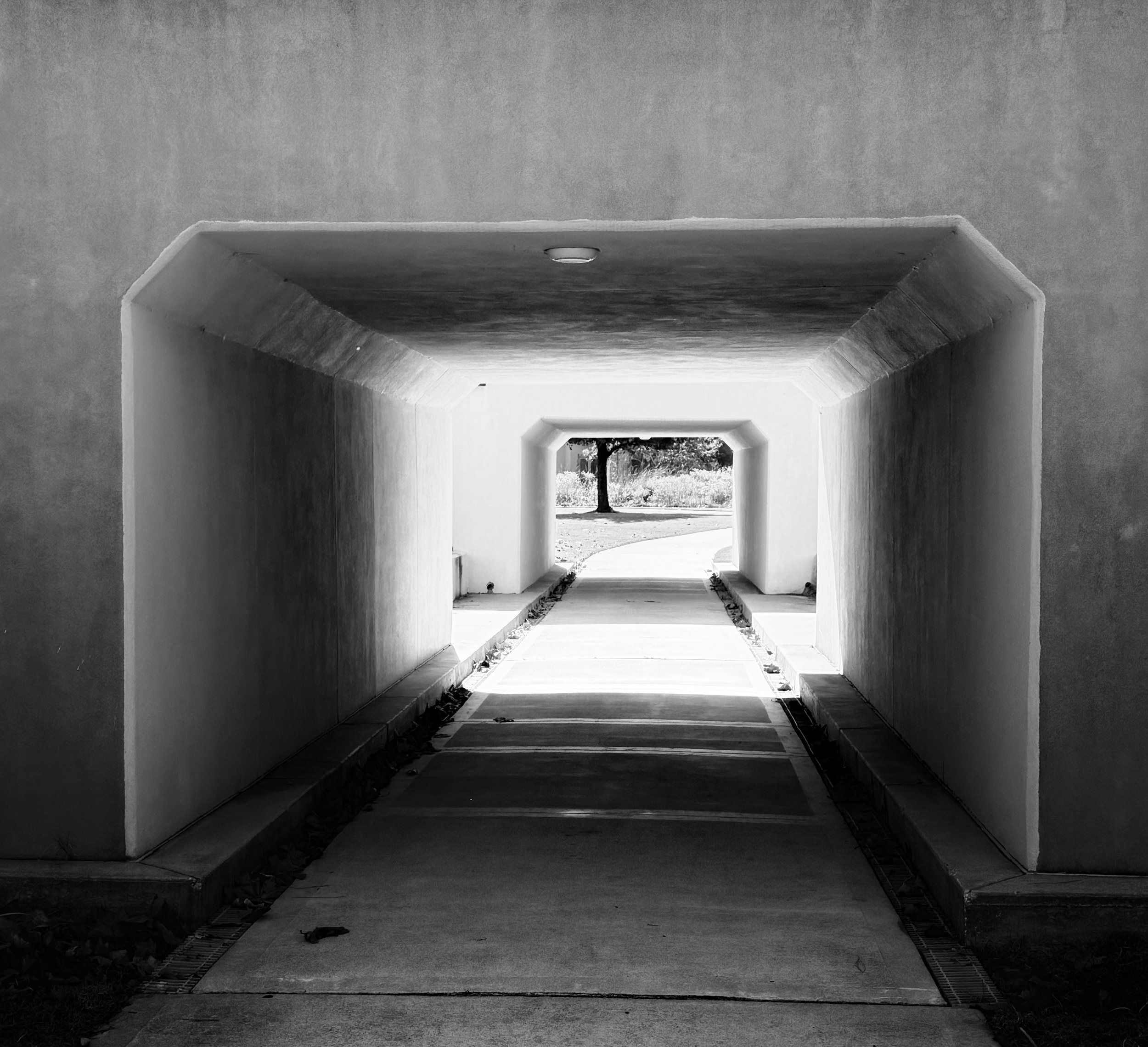 Tunnel vision | Texas