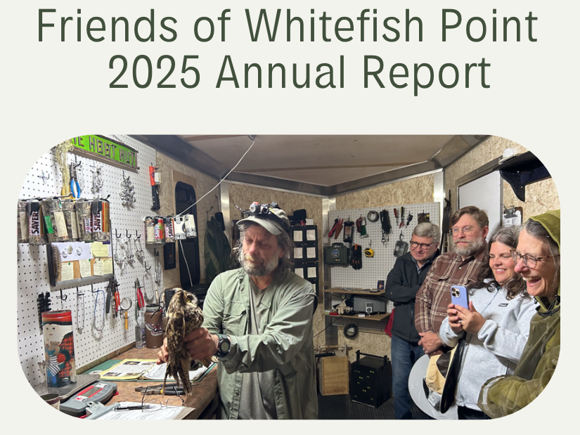 2025 Annual Report