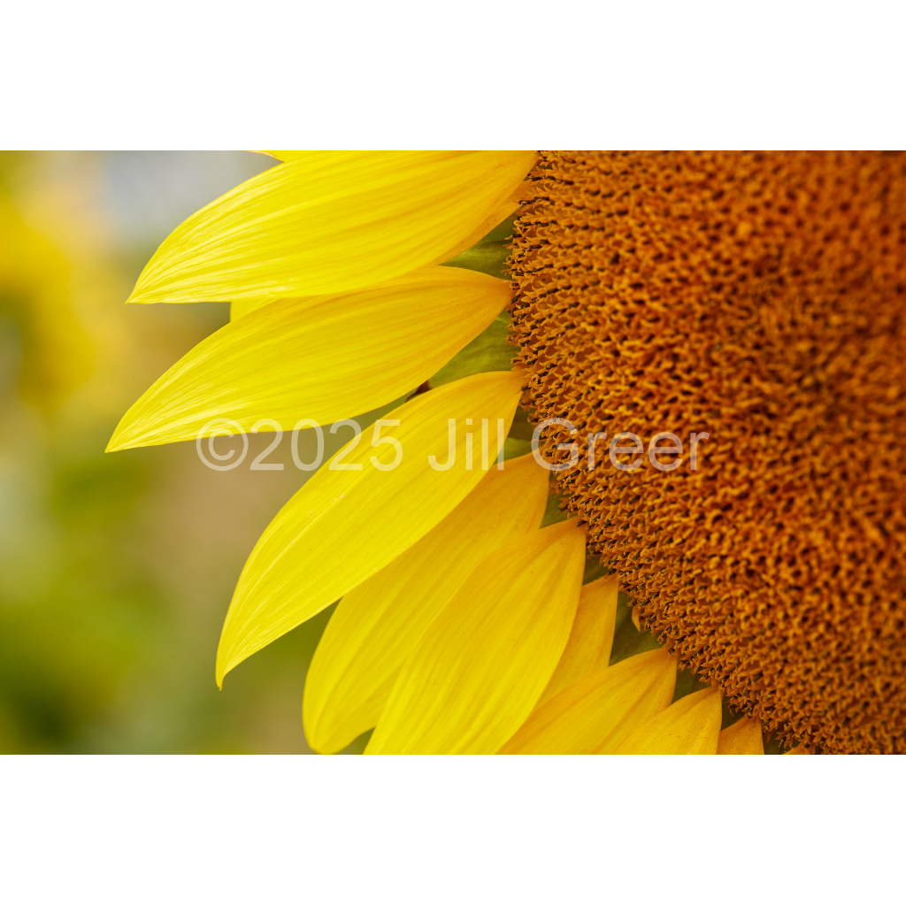 image_original_90b25aaa5e573aee4aaf9d61afae7a08.png
