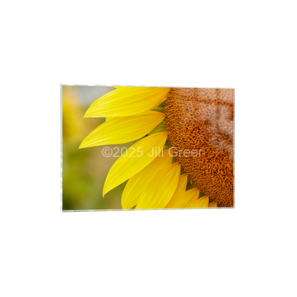 ptq_17_7_224_0_6272_4480_0_false_ffffff_0_0_90b25aaa5e573aee4aaf9d61afae7a08.png