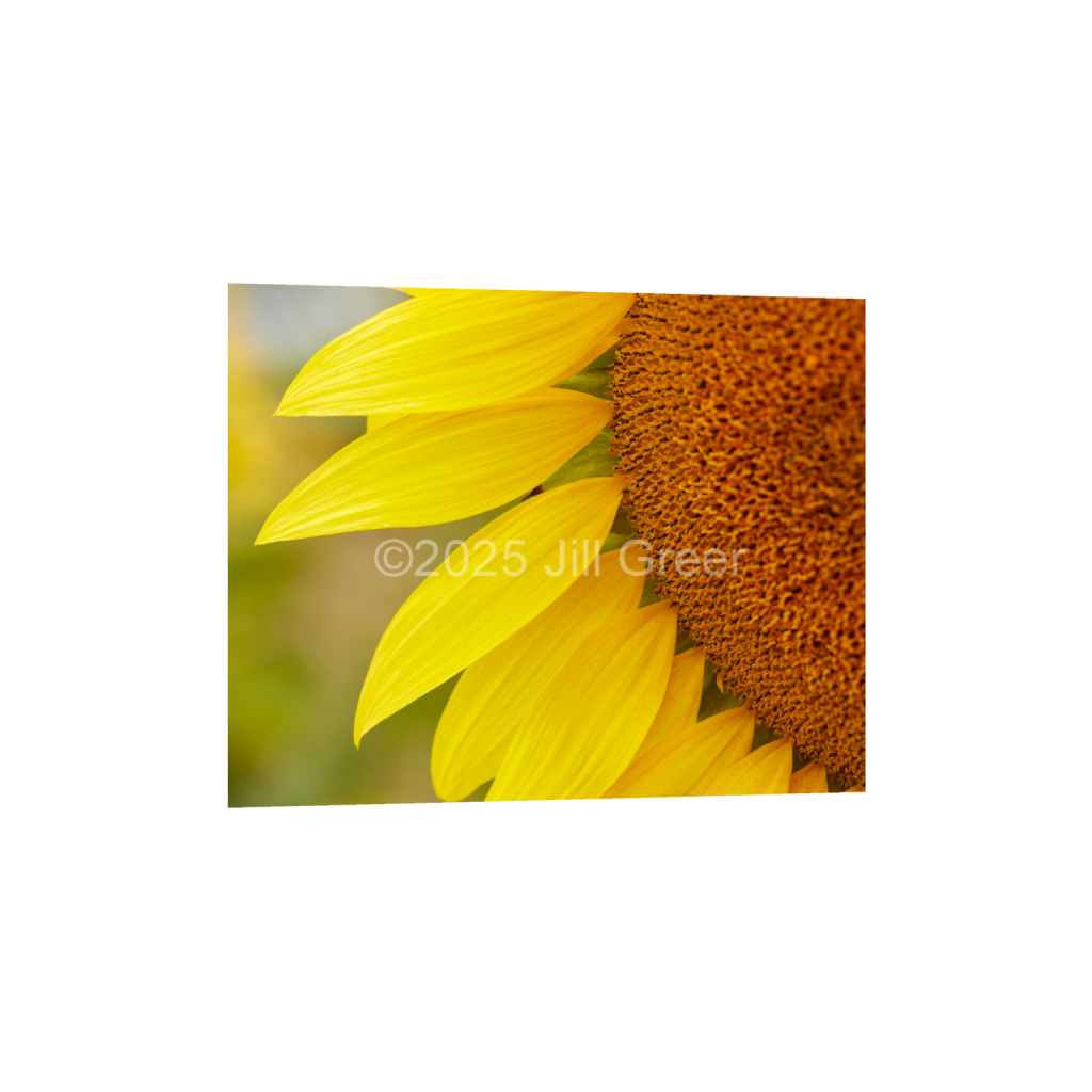ptq_34_6_560_0_5600_4480_0_false_ffffff_0_0_90b25aaa5e573aee4aaf9d61afae7a08.png