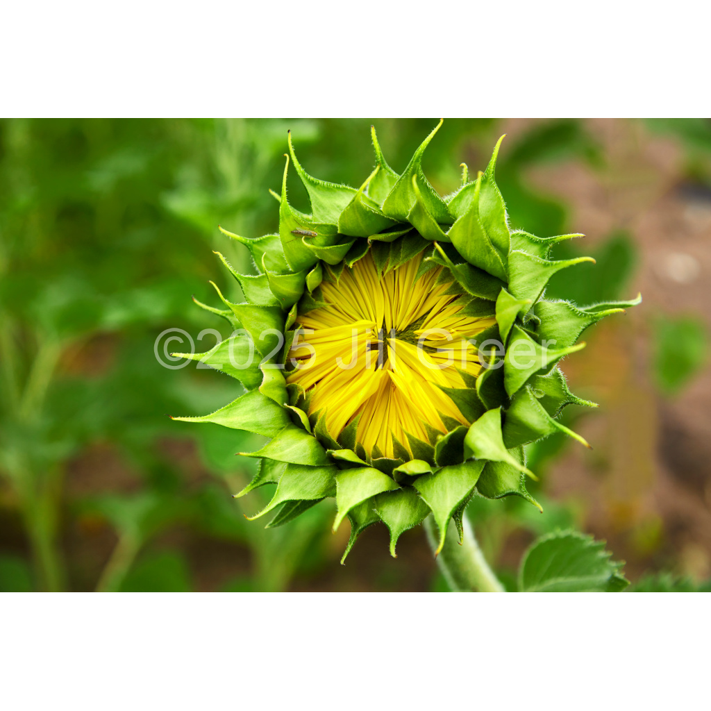 image_original_90b25aaa5e573aee4aaf9d61afae7a08.png