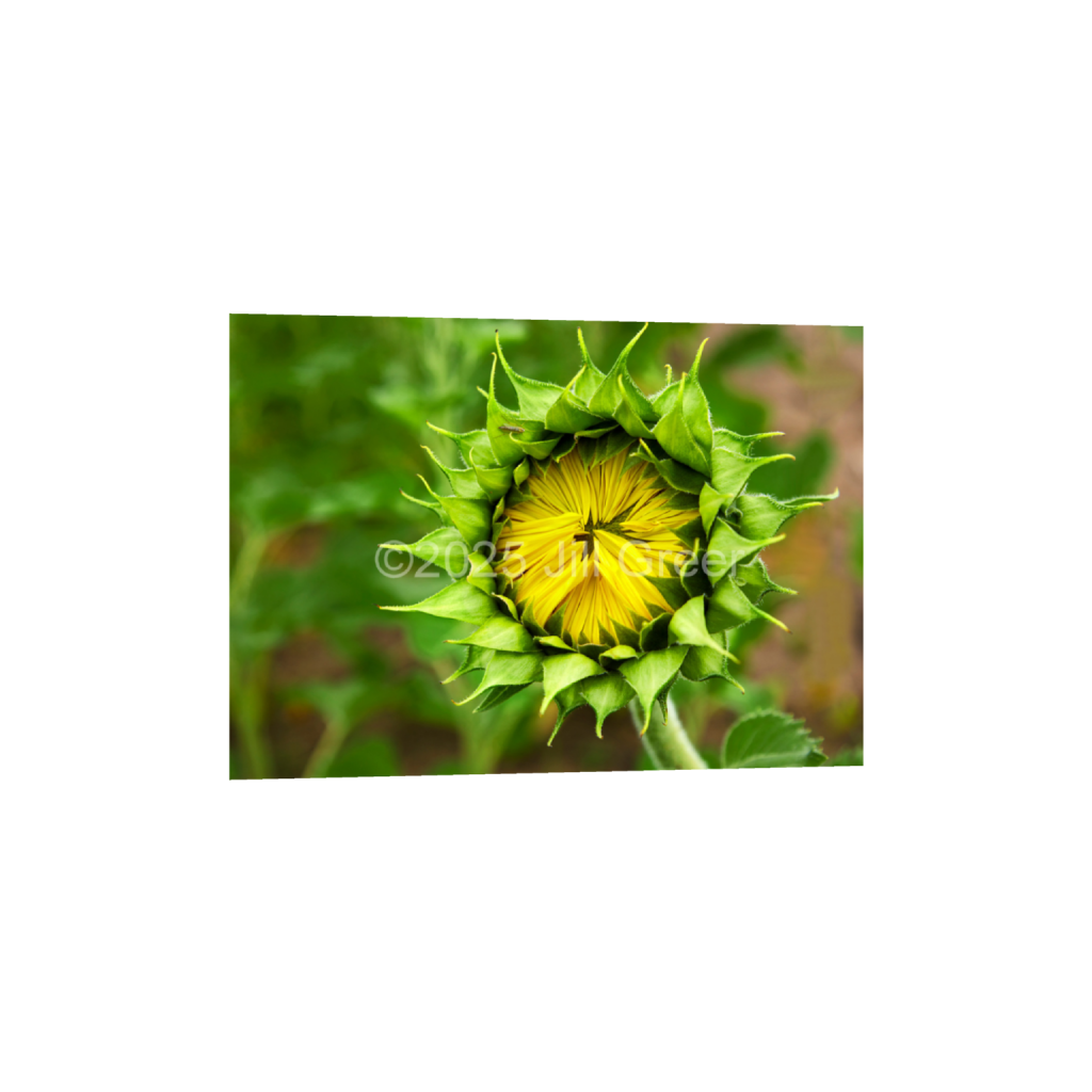 ptq_34_7_217_0_6081_4344_0_false_ffffff_0_0_90b25aaa5e573aee4aaf9d61afae7a08.png