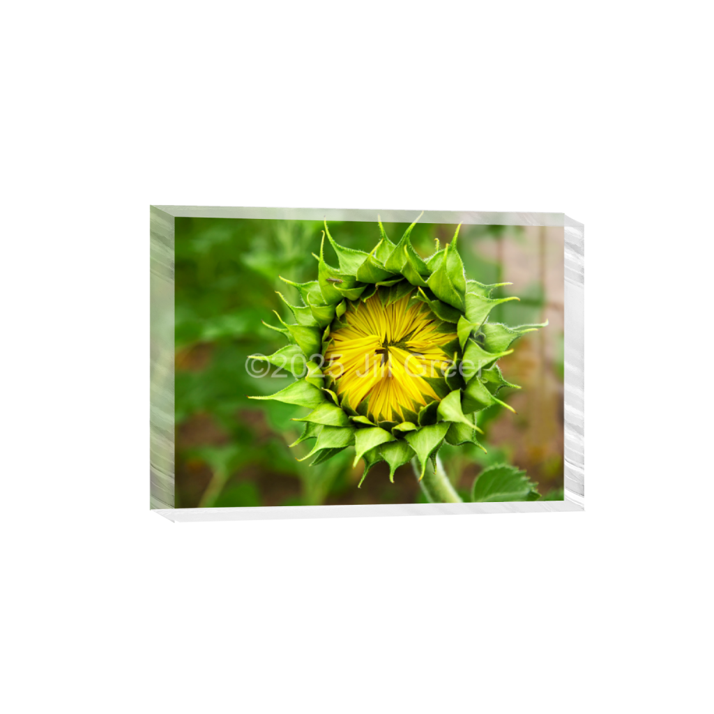 ptq_300_7_217_0_6081_4344_0_false_ffffff_0_0_90b25aaa5e573aee4aaf9d61afae7a08.png