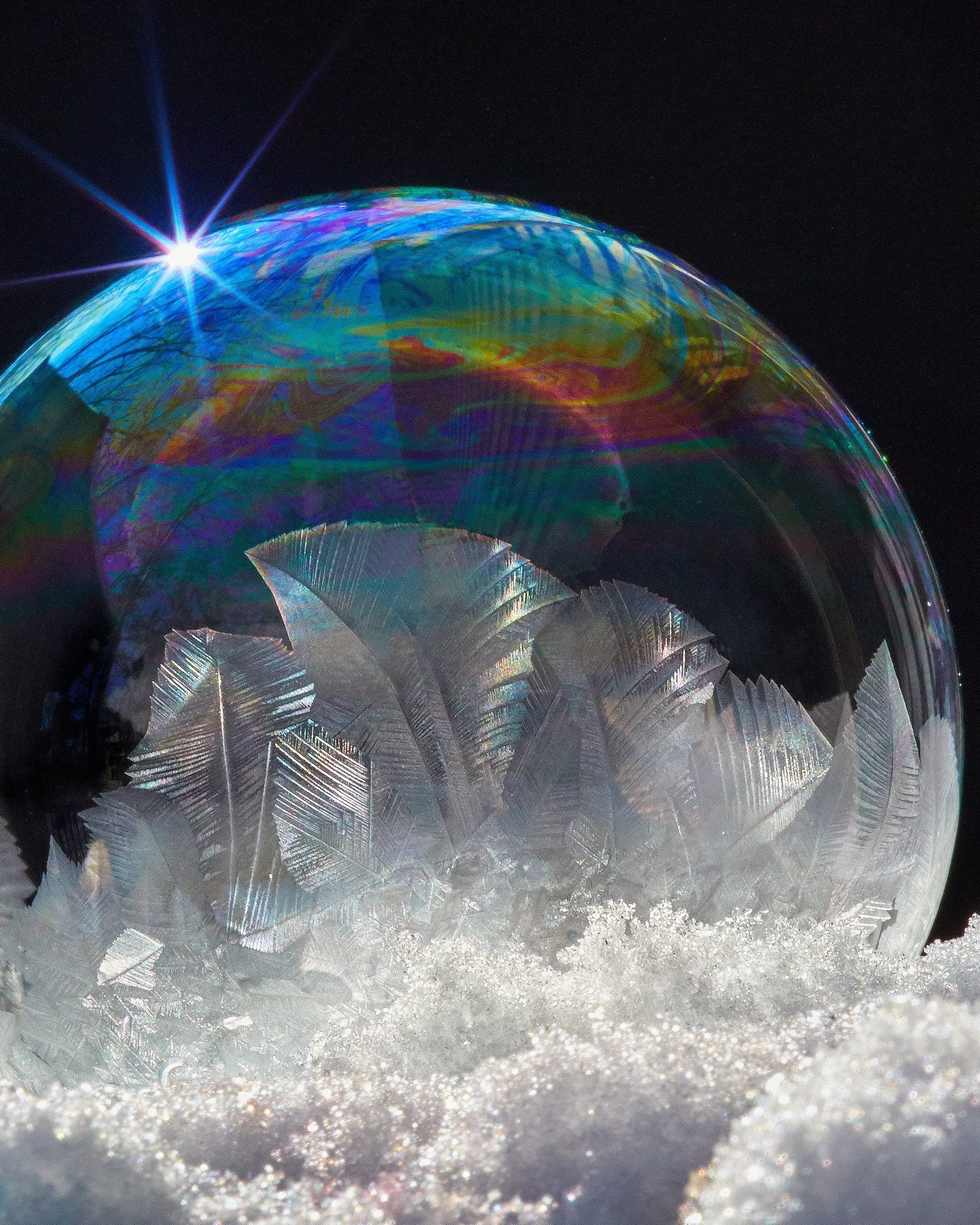 Delicate Nature