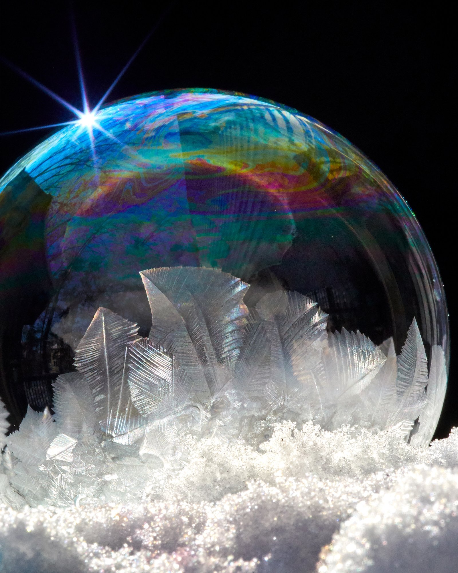 ++PolarFrost_CosmosCrystal_72dpi.jpg