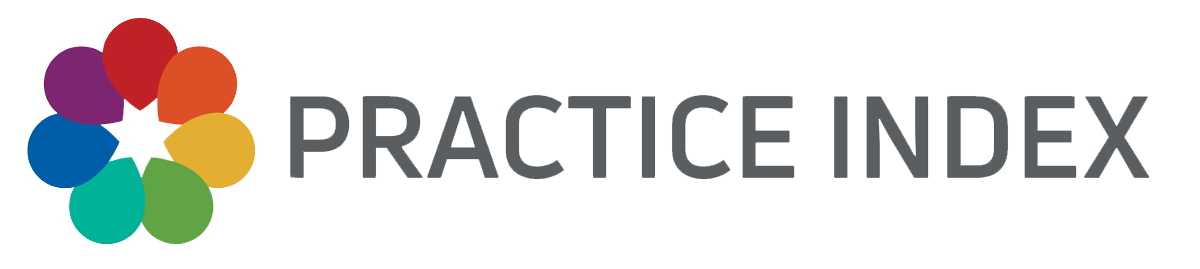Colorful logo with flower-like design consisting of eight petal shapes in purple, red, orange, yellow, green, teal, blue, and purple, followed by the text 'PRACTICE INDEX' in gray capital letters.