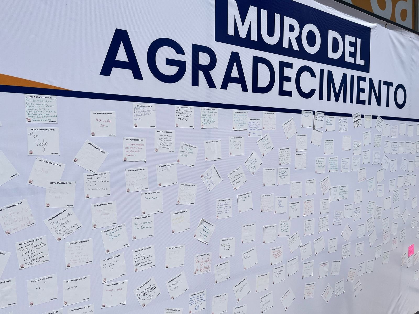 Imagen de WhatsApp 2024-04-22 a las 11.09.37_f81c026e.jpg