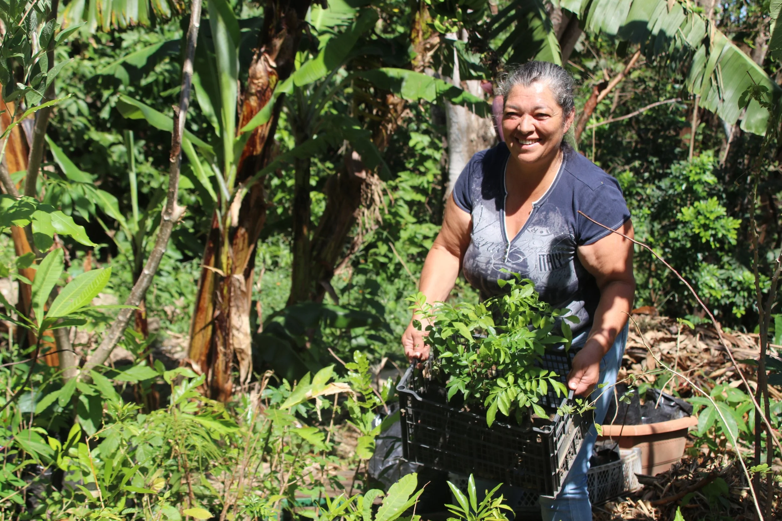 Programa de recaudación Ayudar es Sencillo Iniciativa impulsará nueva siembra de árboles en el GAM
