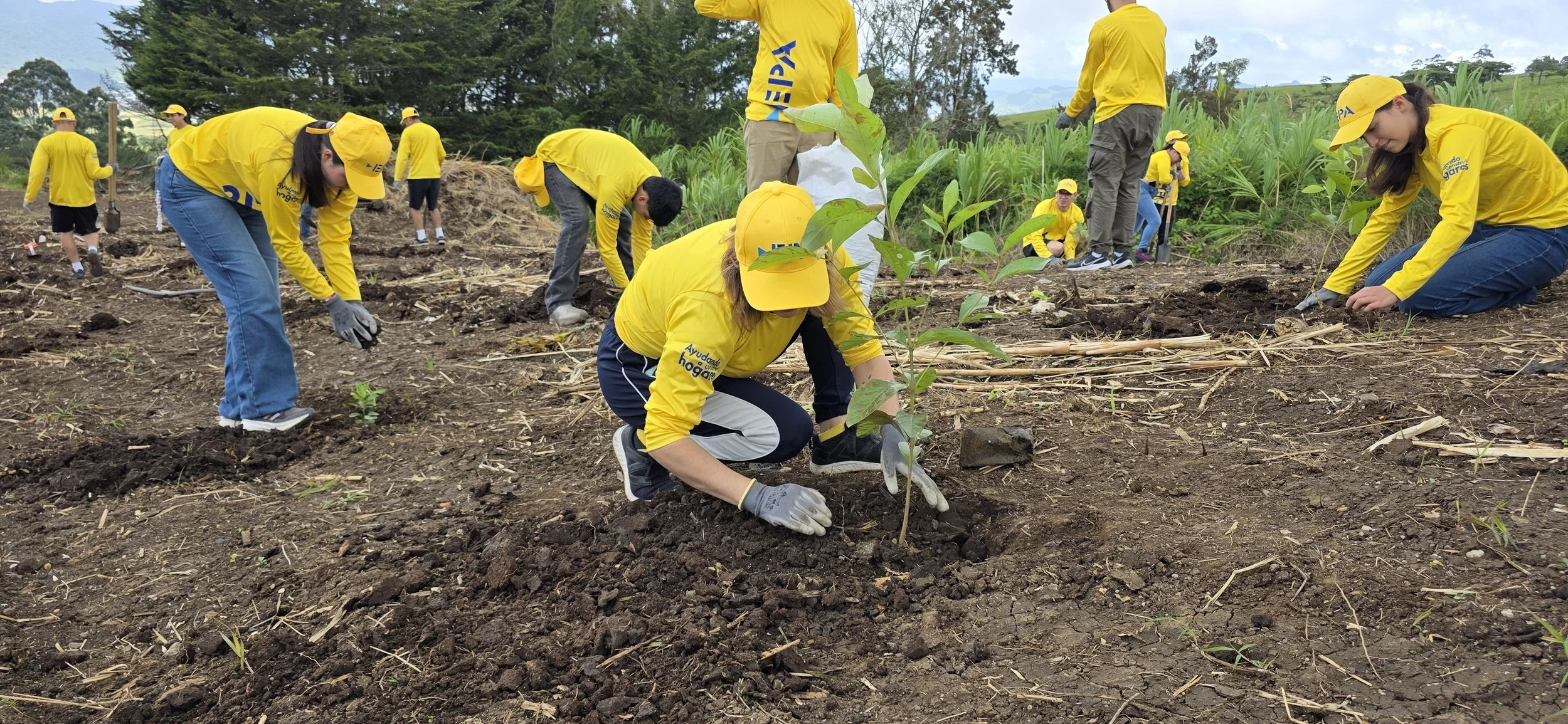 Voluntarios siembran 500 árboles nativos en Oreamuno de Cartago