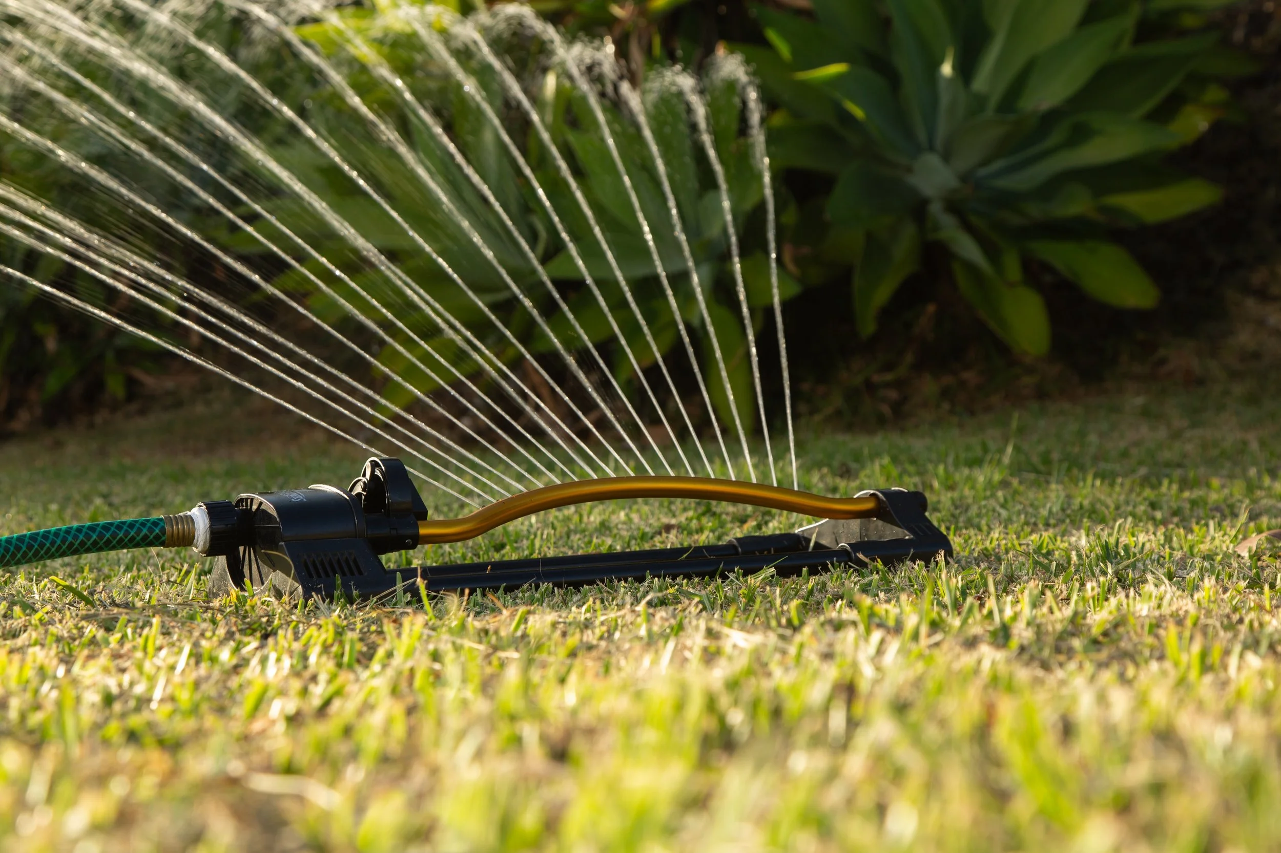 Economice agua y dinero con riego inteligente para su jardín