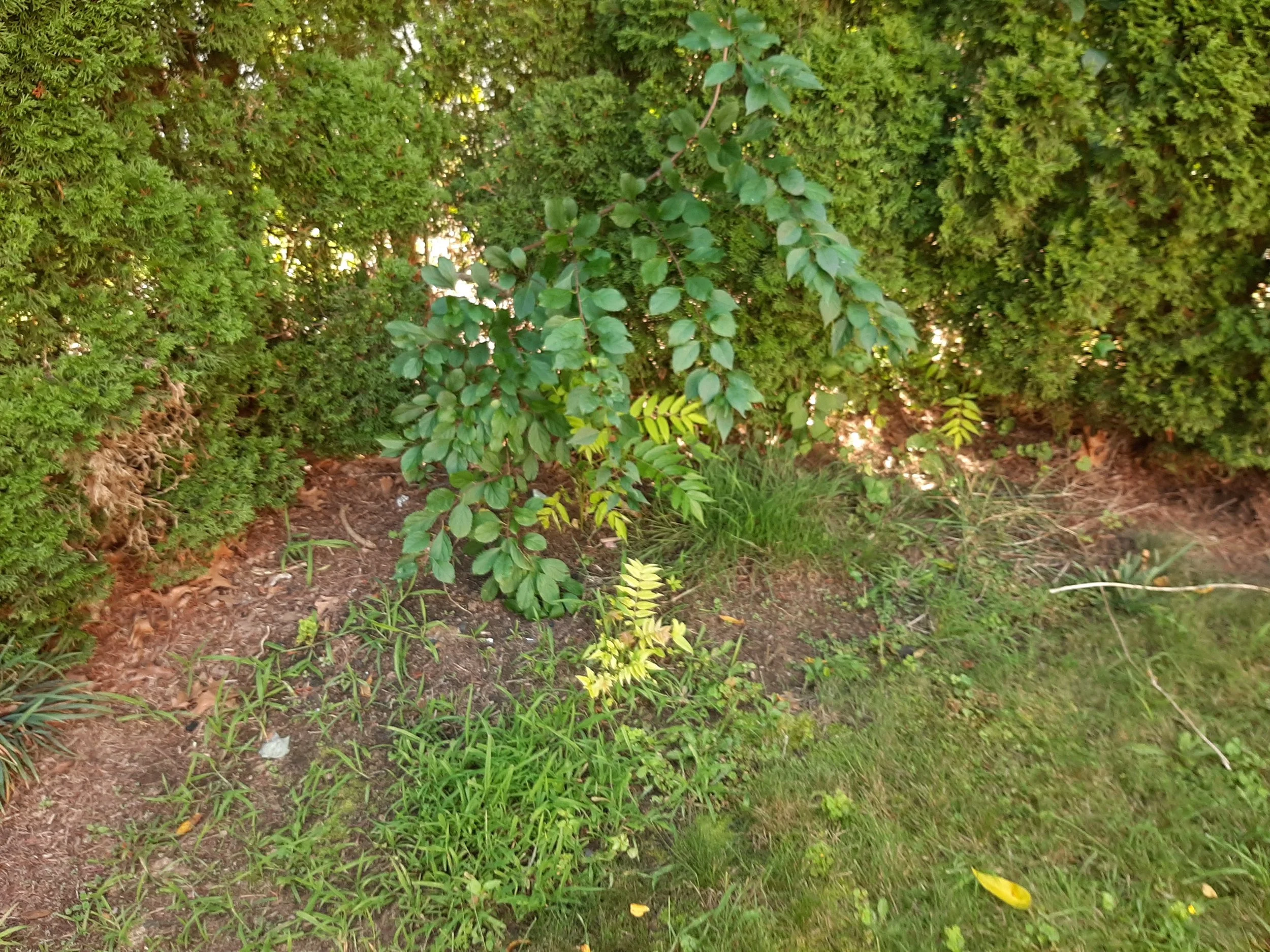 20240823_134050.jpg