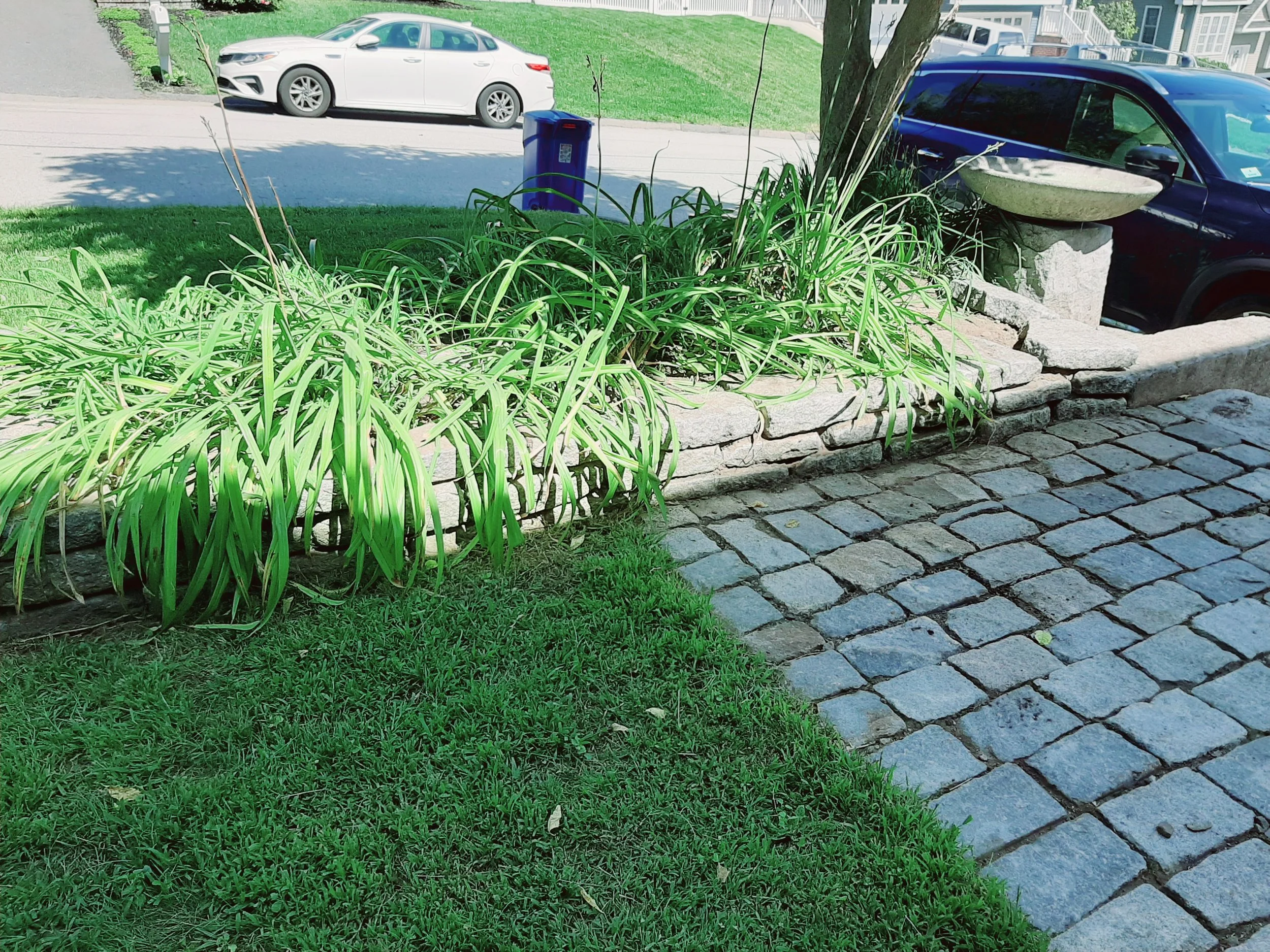 20240830_120618.jpg