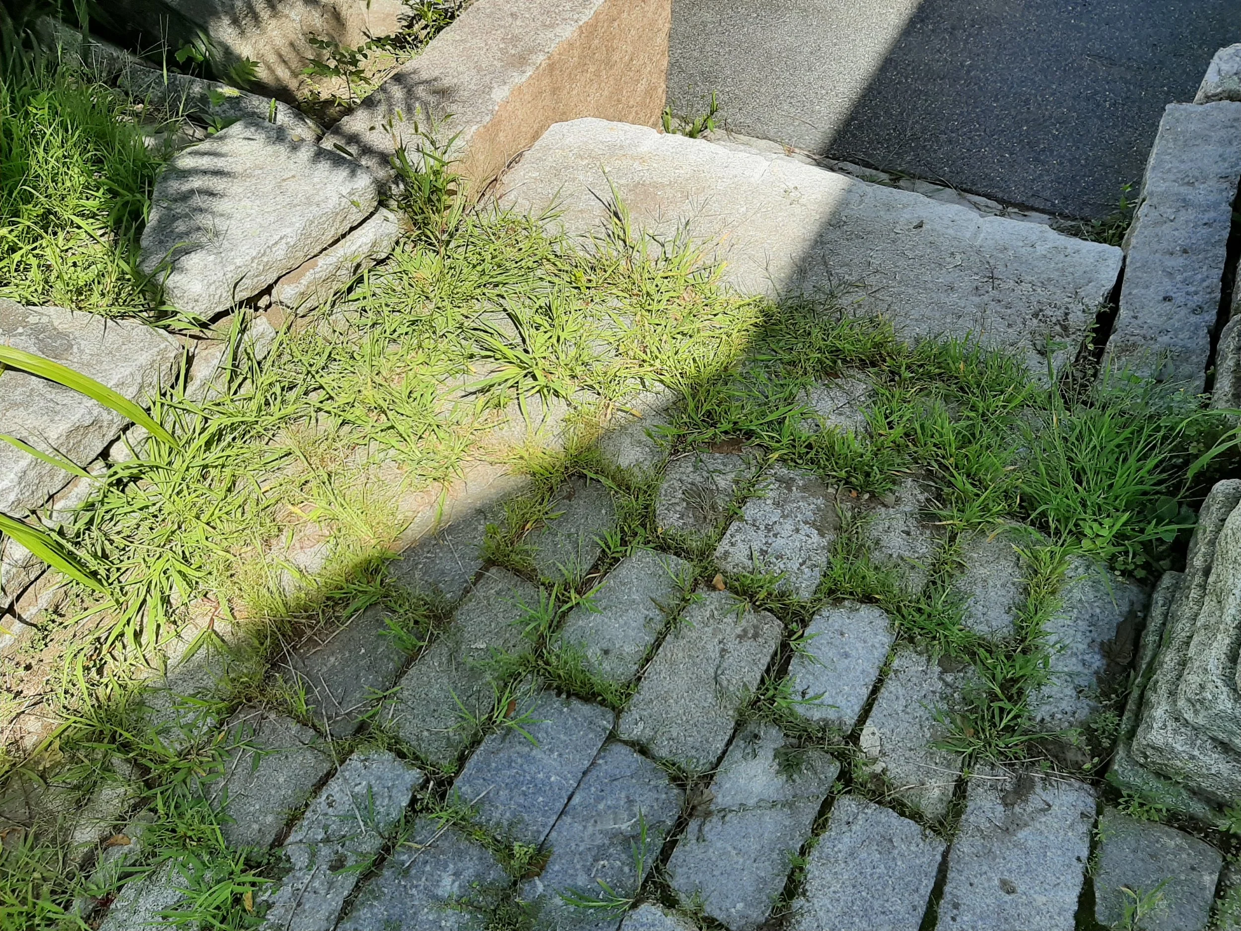 20240823_133914.jpg