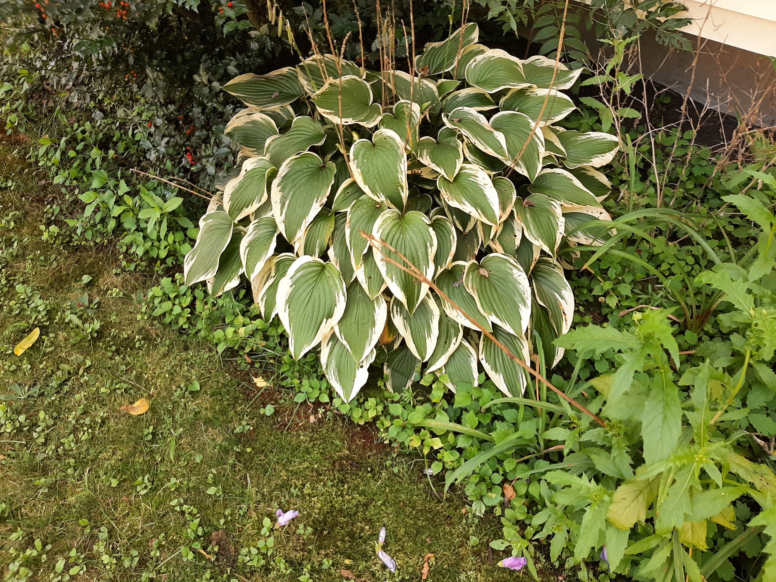 20240823_134001.jpg