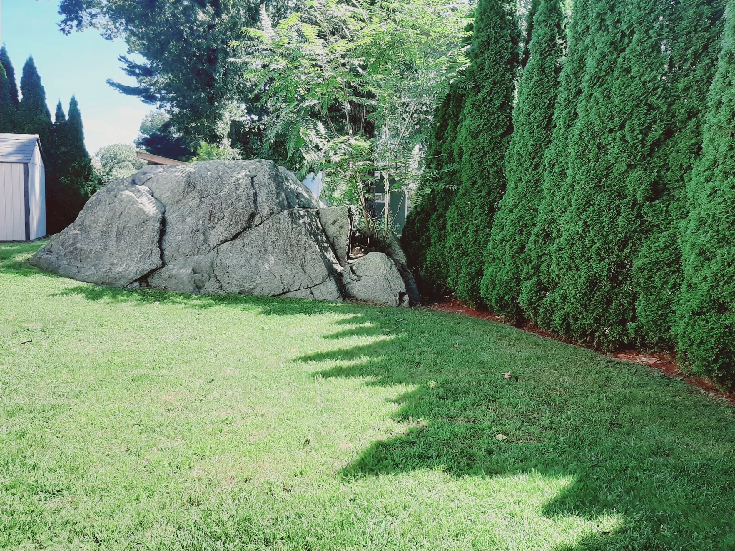20240830_120047.jpg