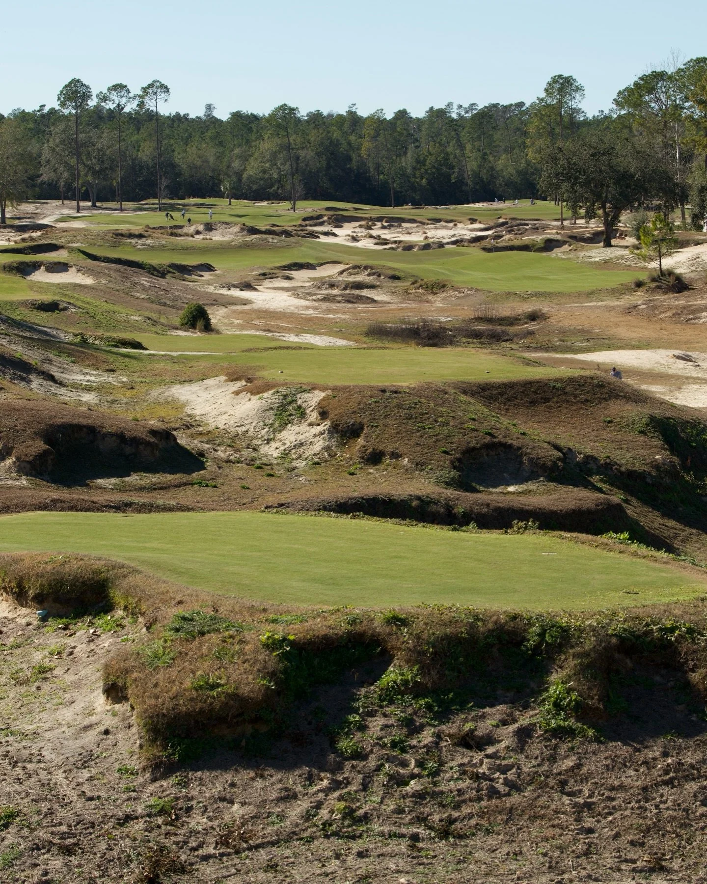 @cabotcitrusfarms - Brooksville, Florida 🍊