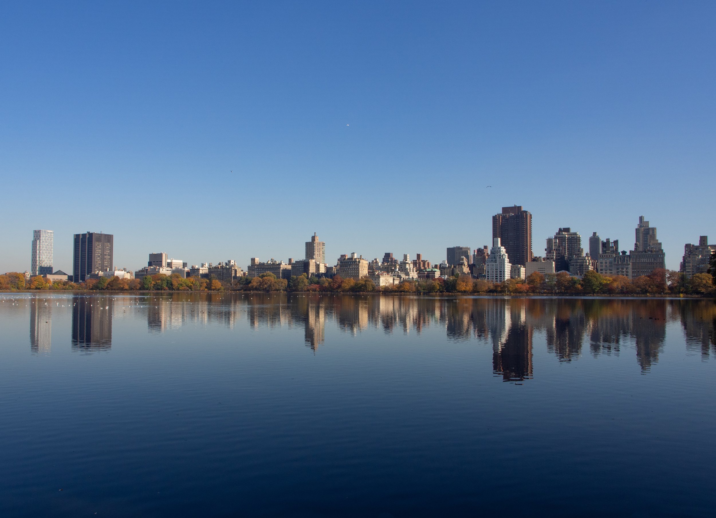 Central Park