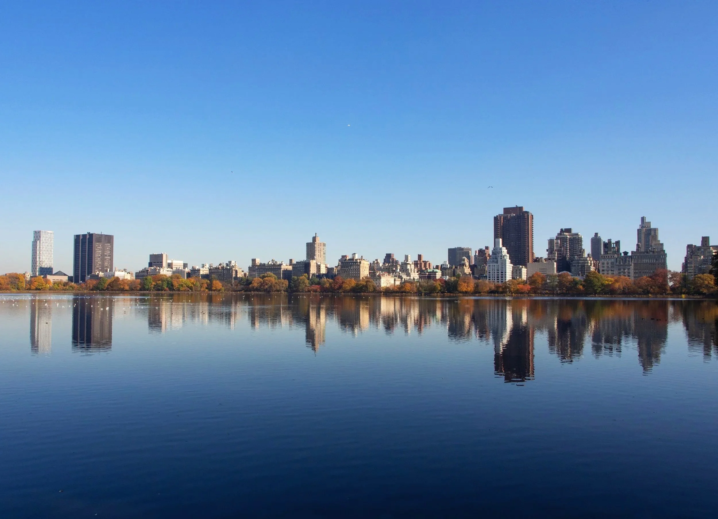 skyline.jpg