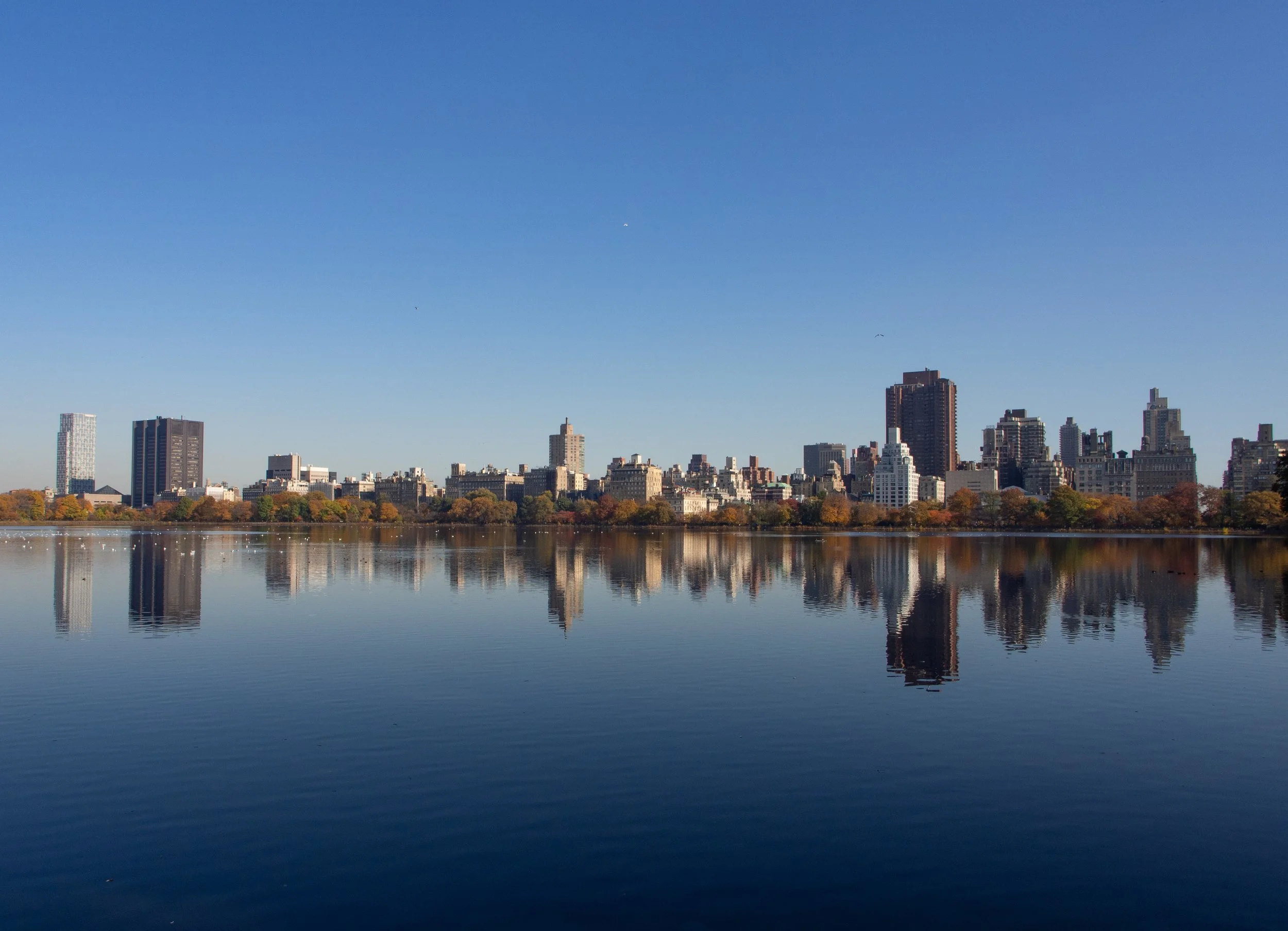 skyline.jpg