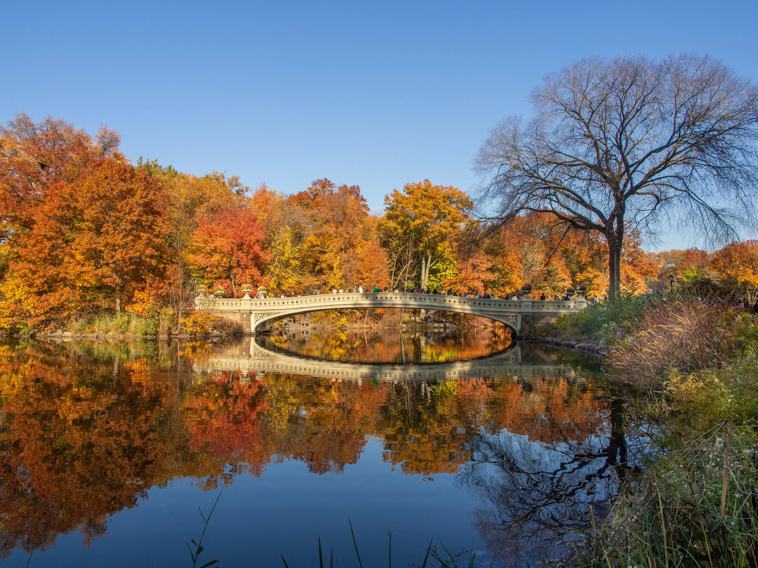 central park.jpg