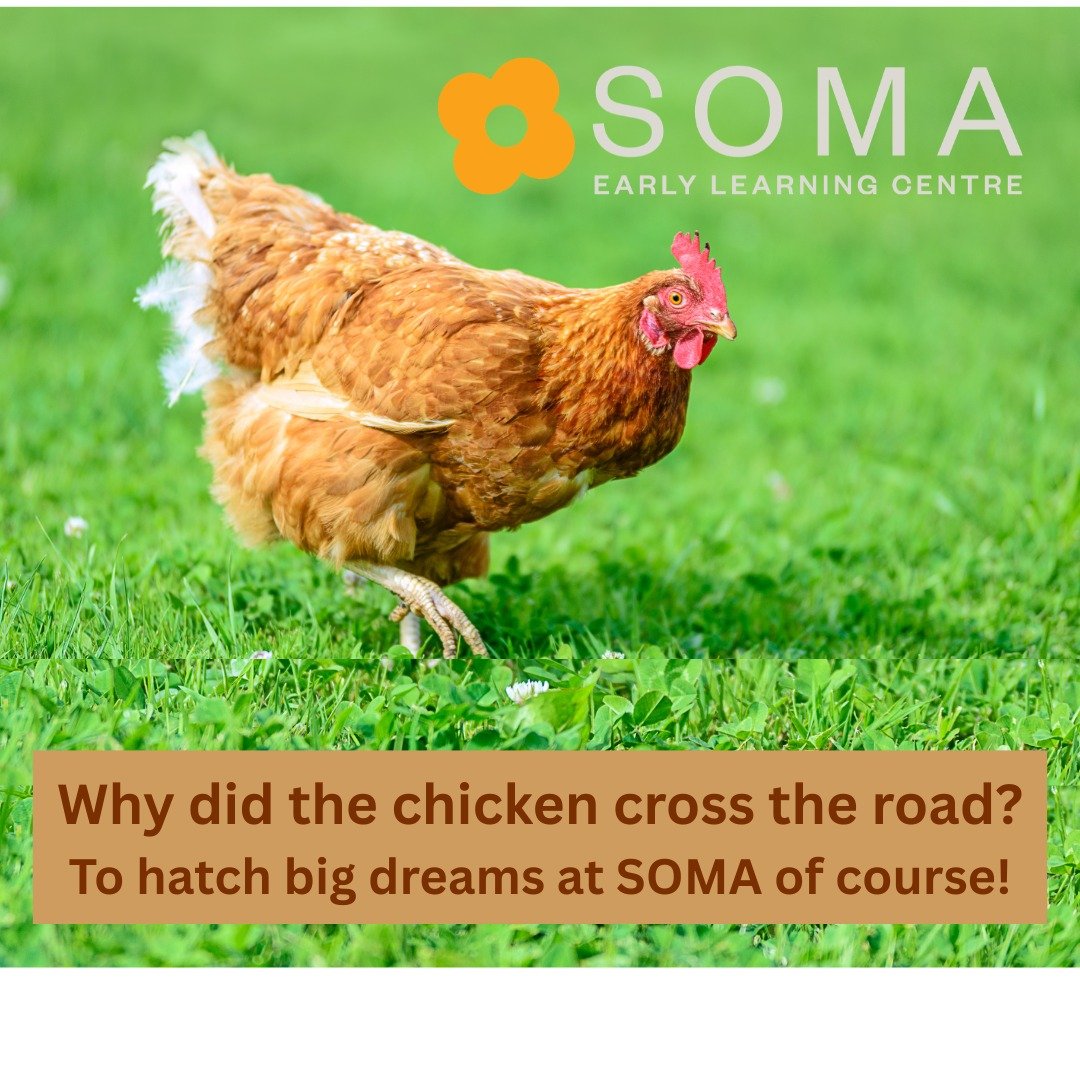 Our chicken breeding program teaches children about life cycles, responsibility, sustainability and hands-on care (plus they&rsquo;re really, really cute!) 🐥🐓🌱

#Lidcombe #LidcombeNSW #2141 #WesternSydney #SydneyChildcare #LidcombeFamilies #Lidcom