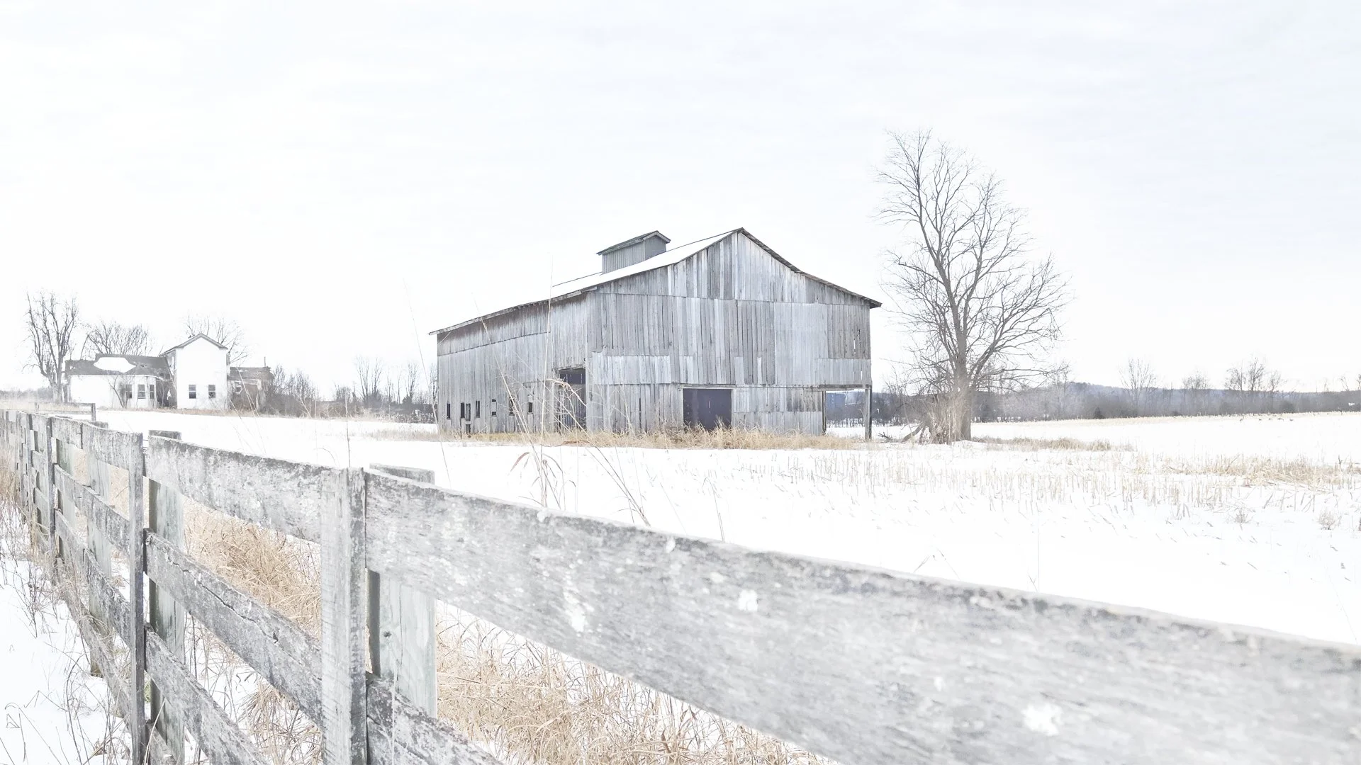 Quiet Ground 9x16 DPI72.jpg