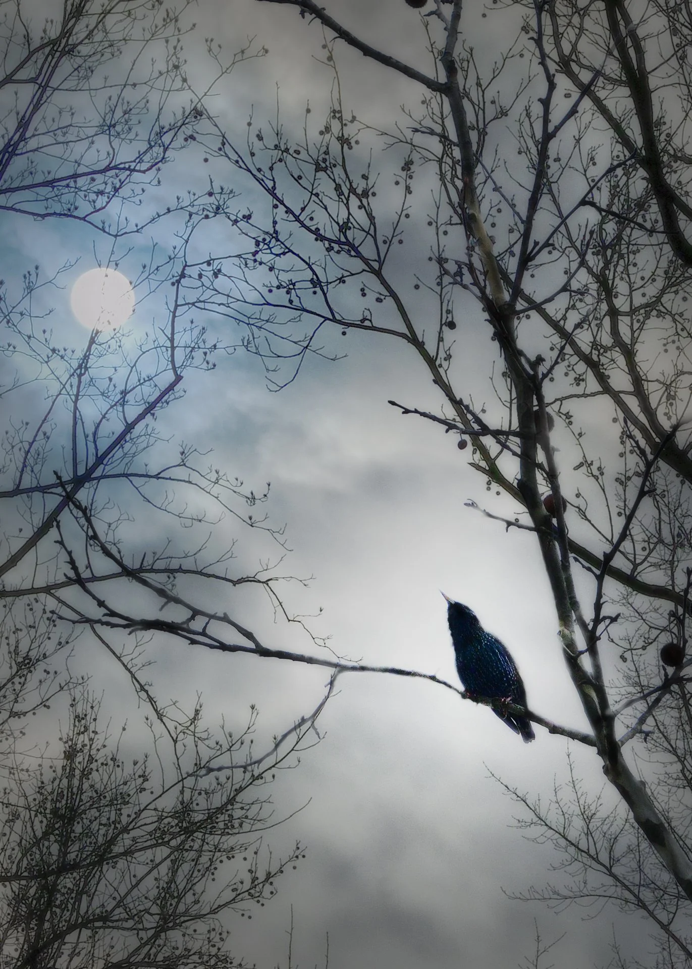 Spring is Out There Somewhere DPI72 .jpg