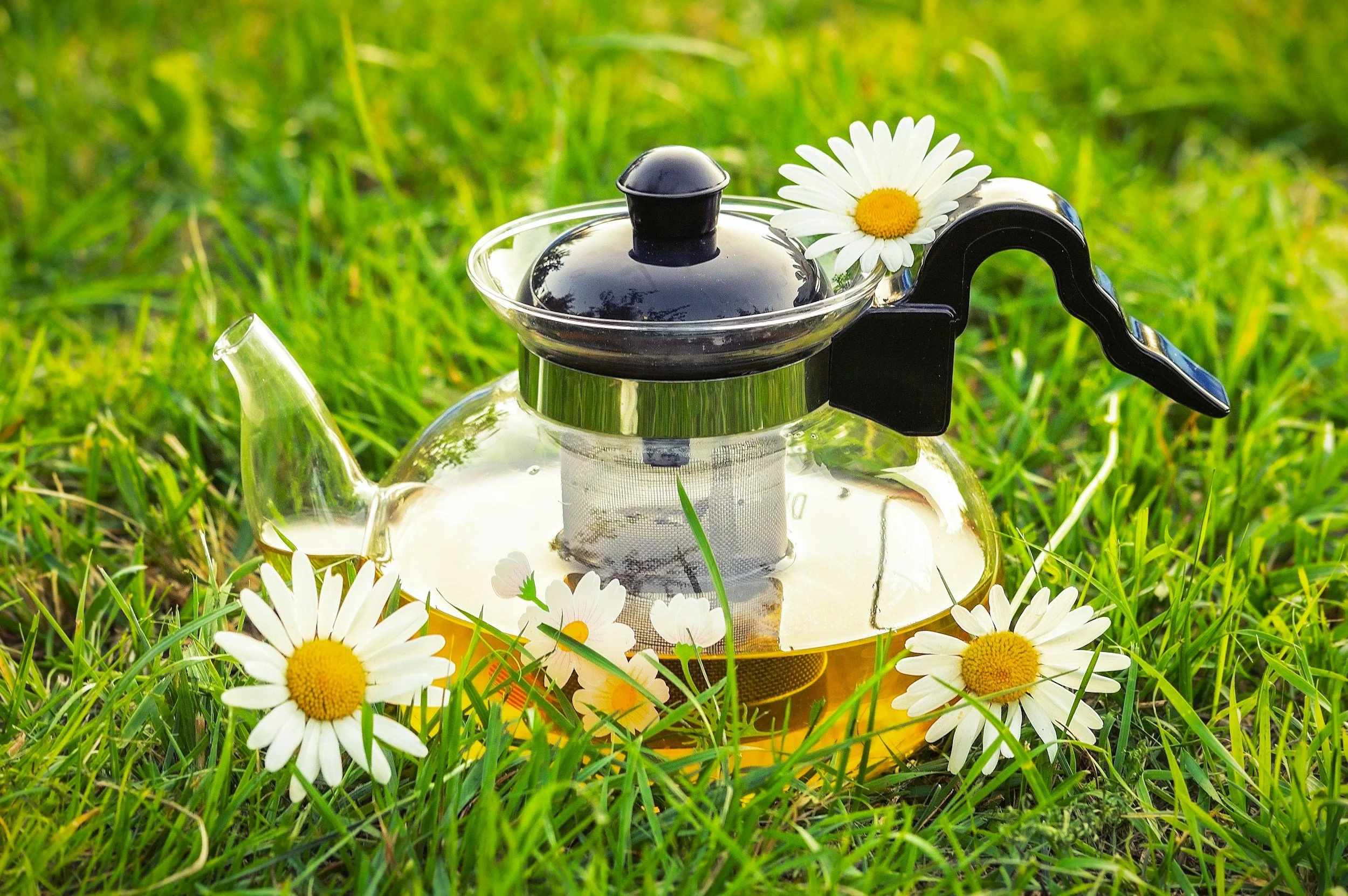 Just Let Me Sleep Tea