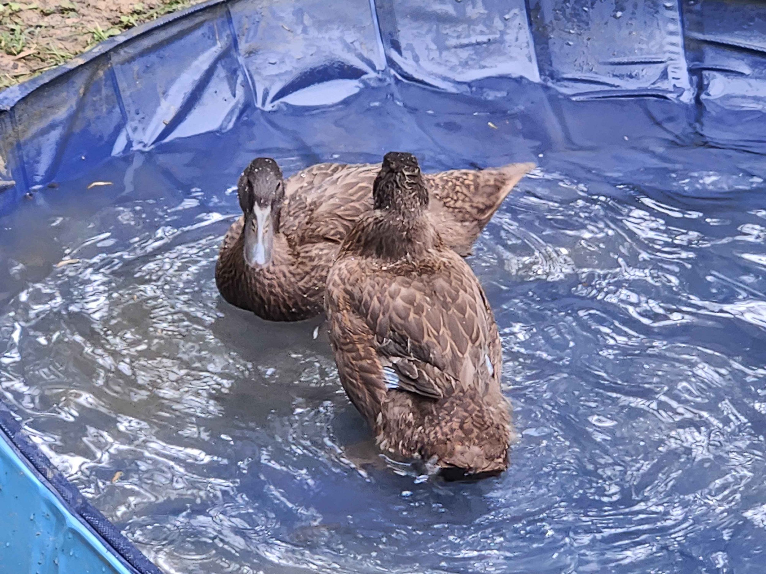 First Splashes