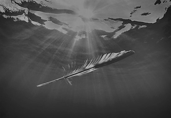 Underwater Feather w/ Ocean Light, Monterey